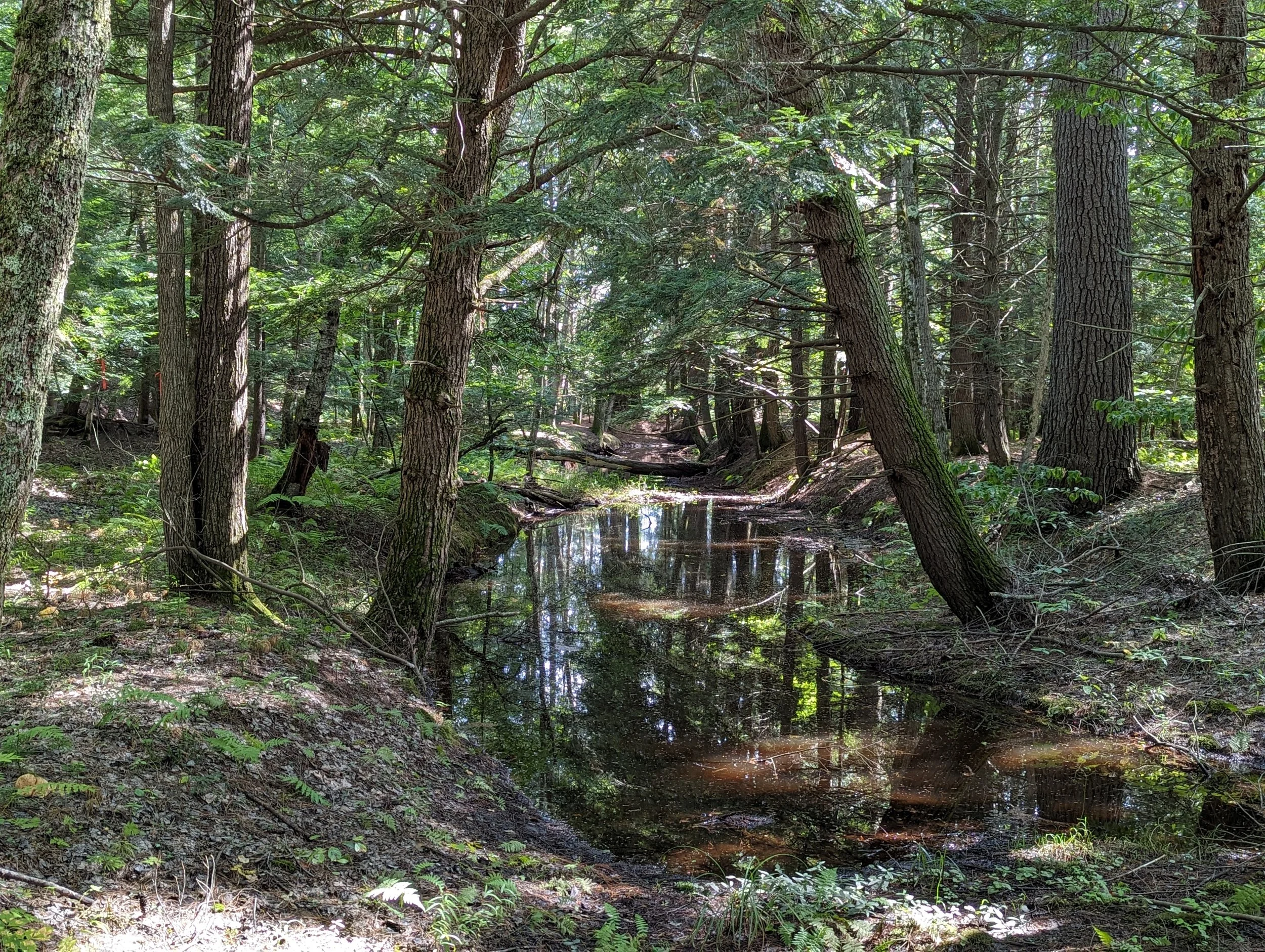 Photo courtesy of Mike Boisvert