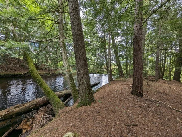 Photo courtesy of Mike Boisvert