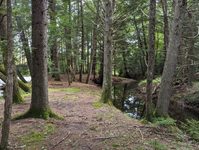 Photo courtesy of Mike Boisvert