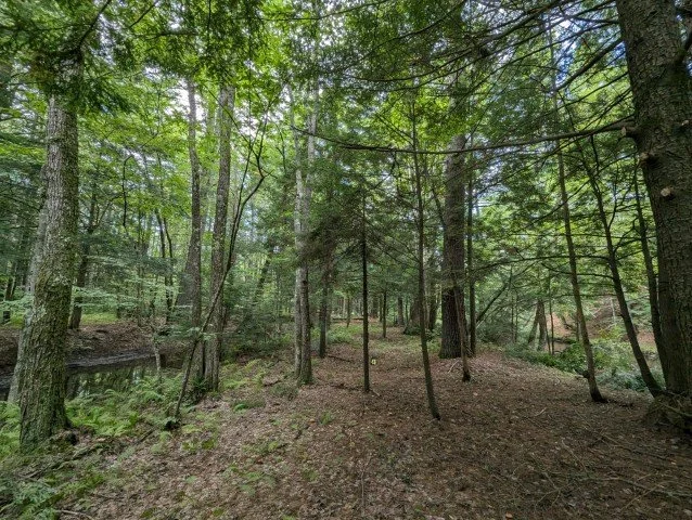 Photo courtesy of Mike Boisvert