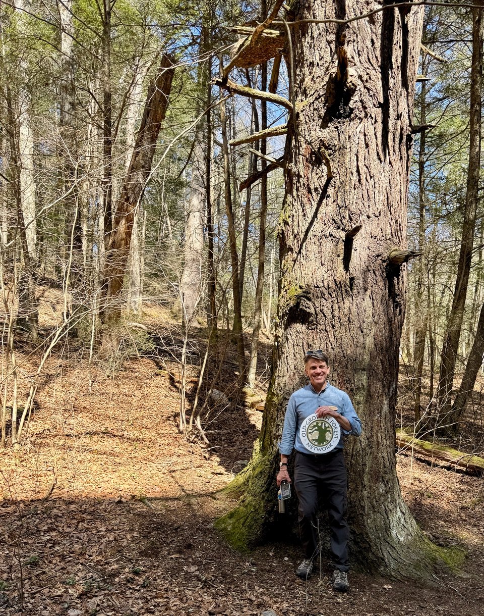 #279: Hemlock Gorge at Prettyboy Reservoir (MD)