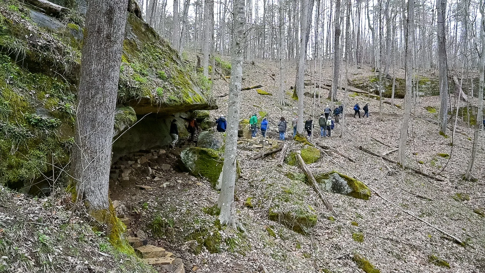 #281: Hungry Beech Preserve (WV)
