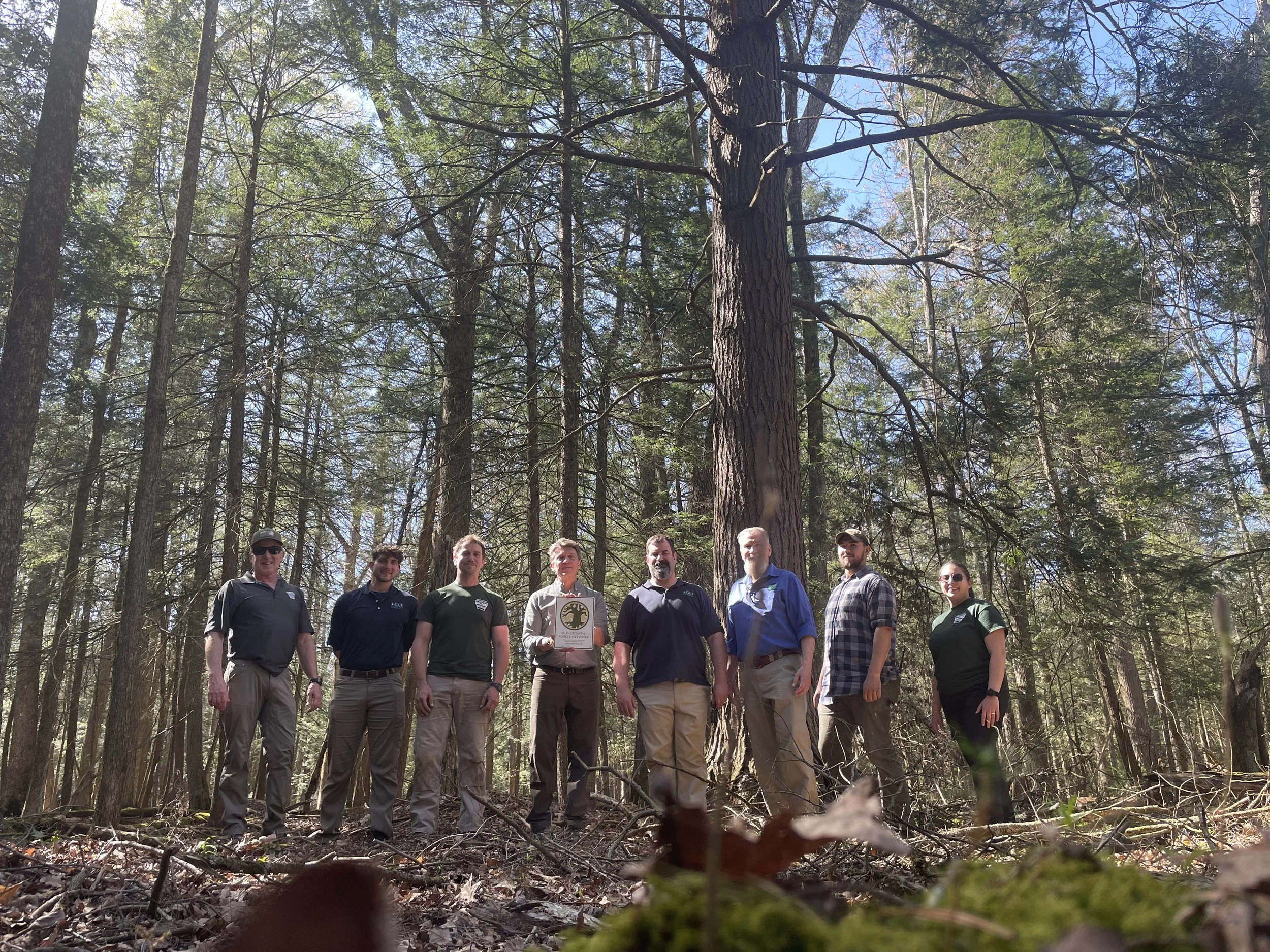 #287: Bark Cabin Natural Area (PA)