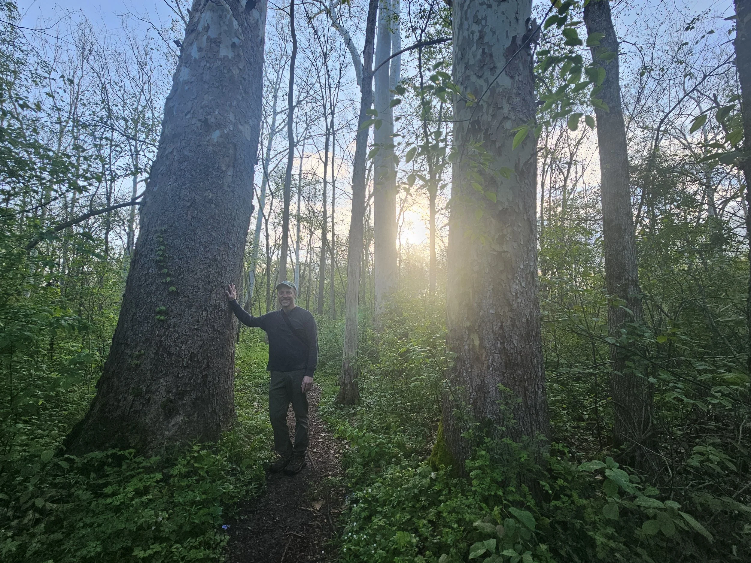 #290: Dolan Nature Sanctuary (MI)