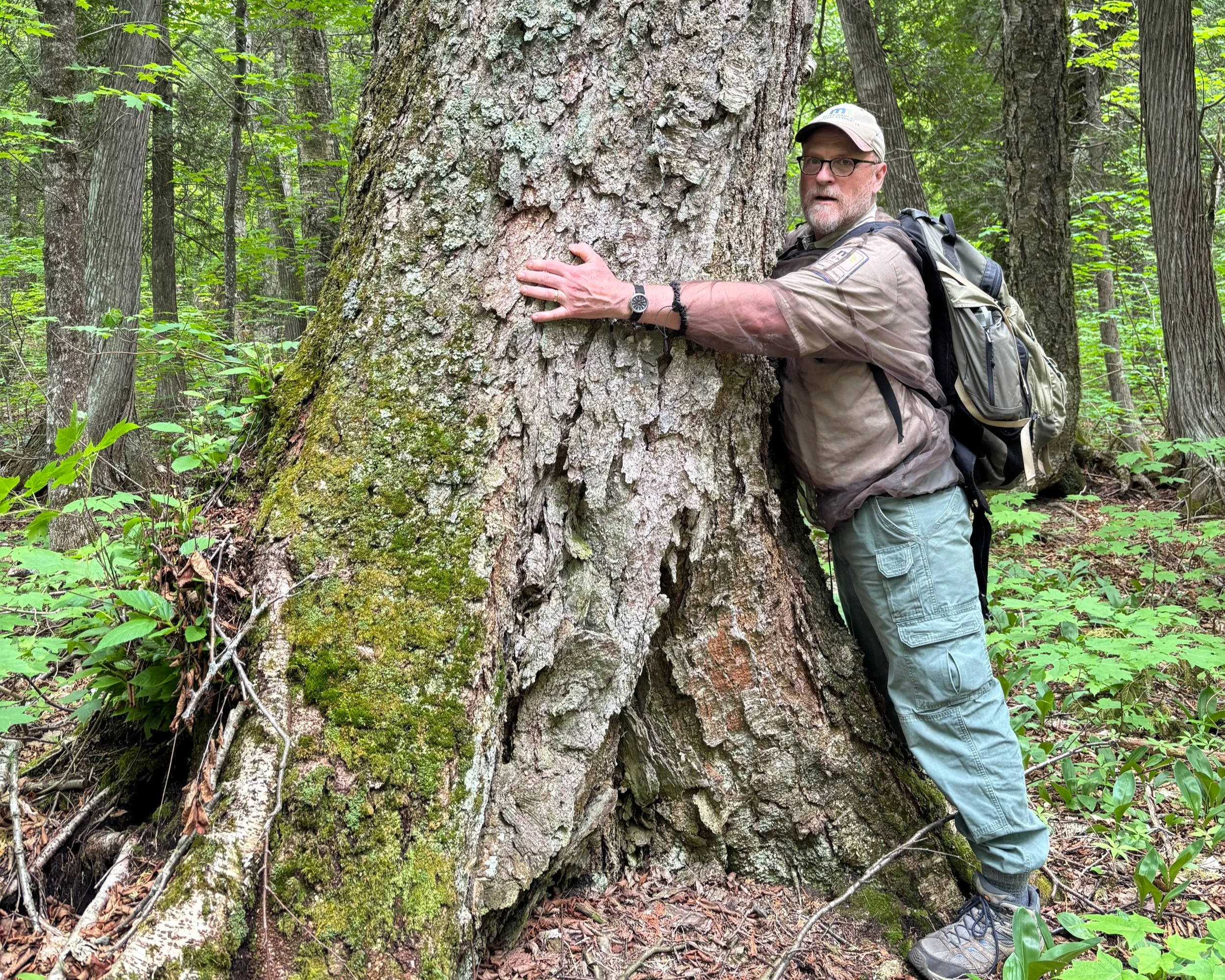 #298: George H. Crosby Manitou State Park (MN)
