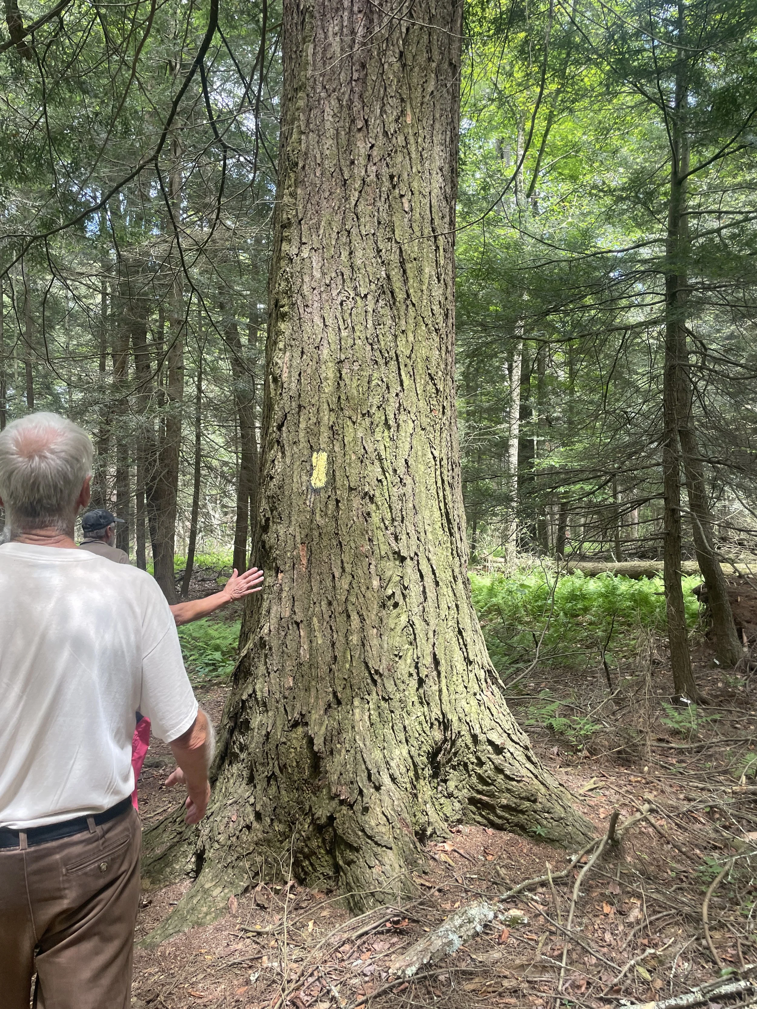 #306: Woodbourne Forest &amp; Wildlife Preserve (PA)
