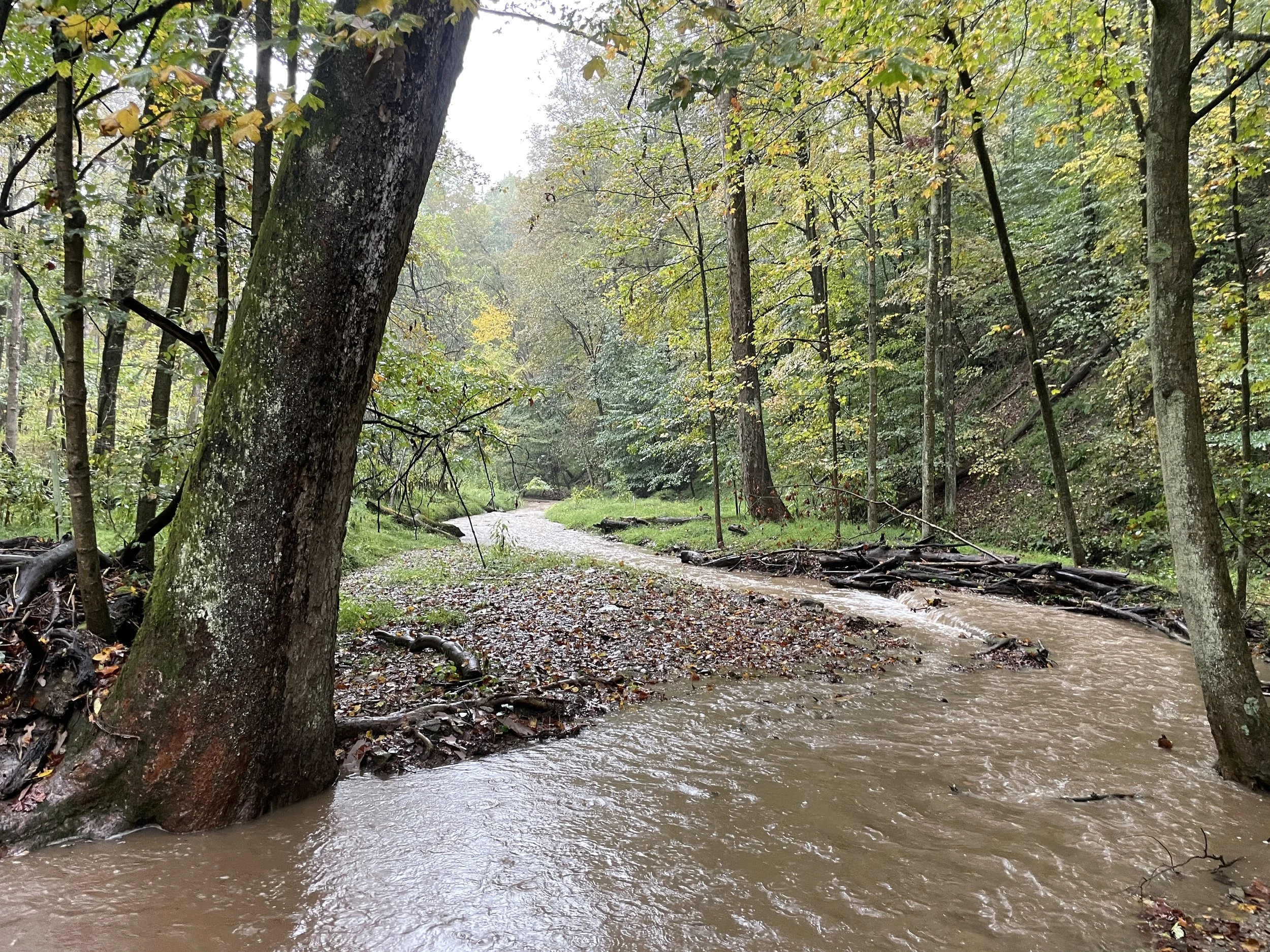 #309: Ackermann Nature Preserve (PA)
