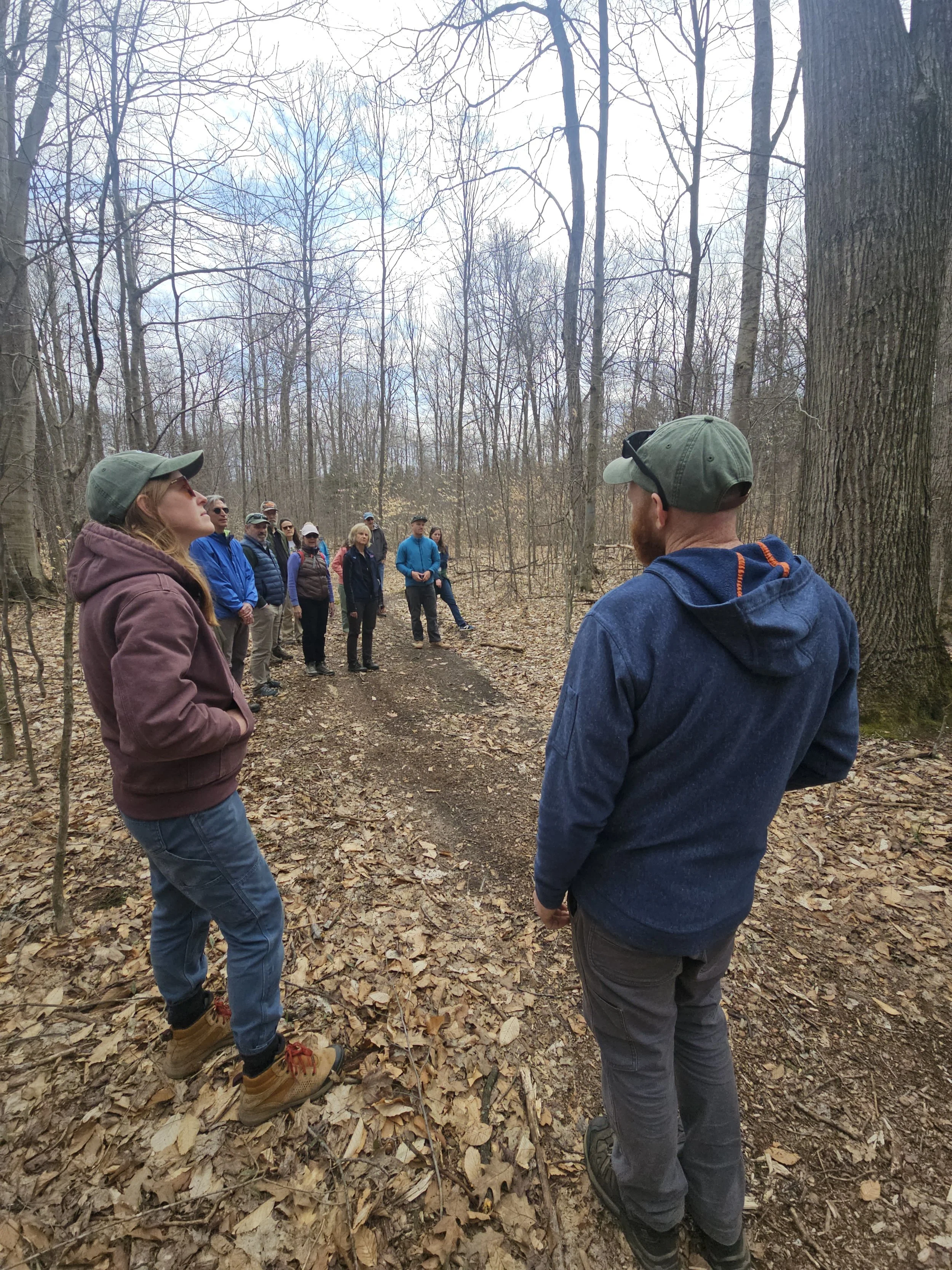 Palmer Woods Forest Reserve (MI)