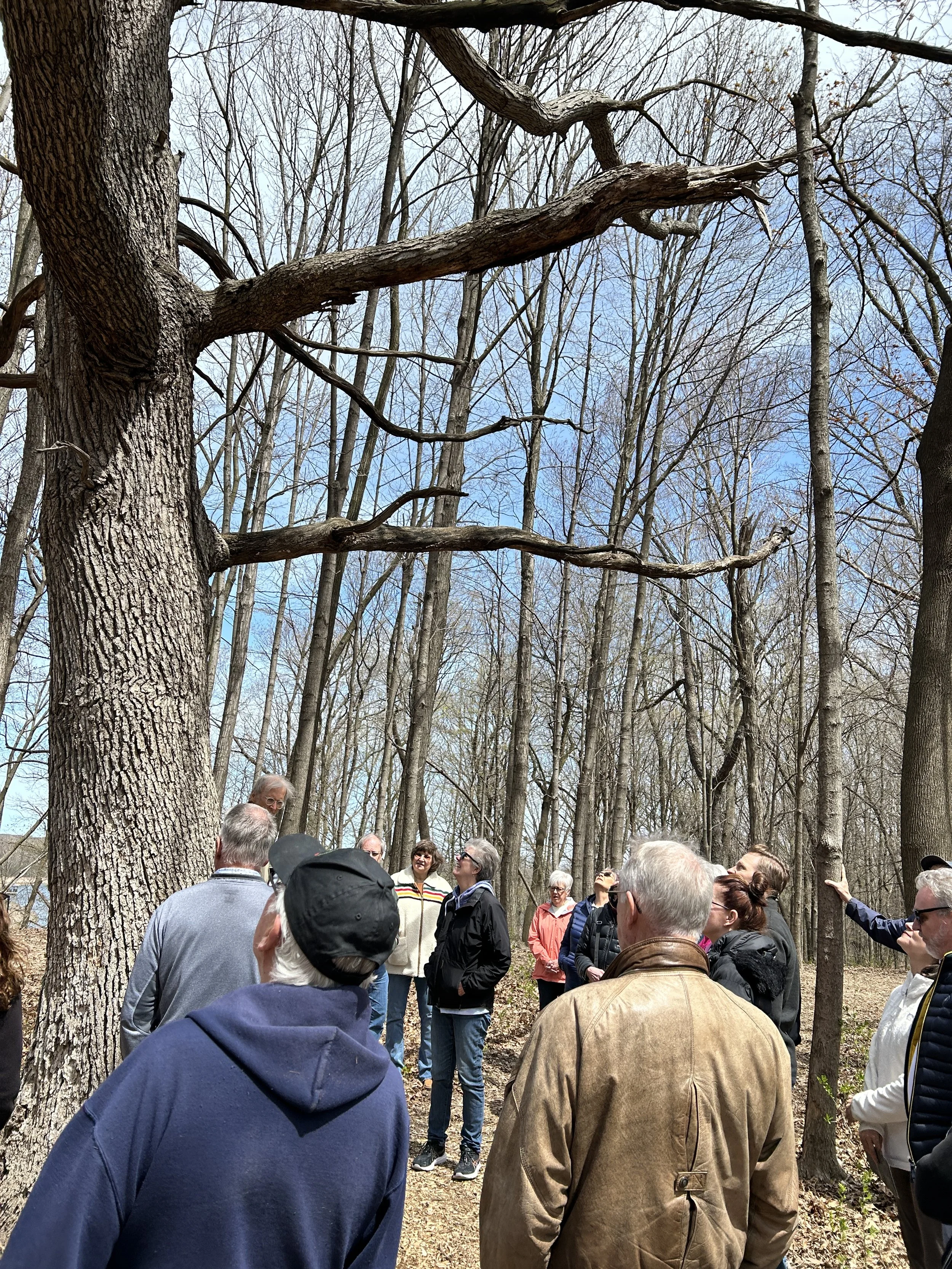 Conservancy for Healing &amp; Heritage (WI)