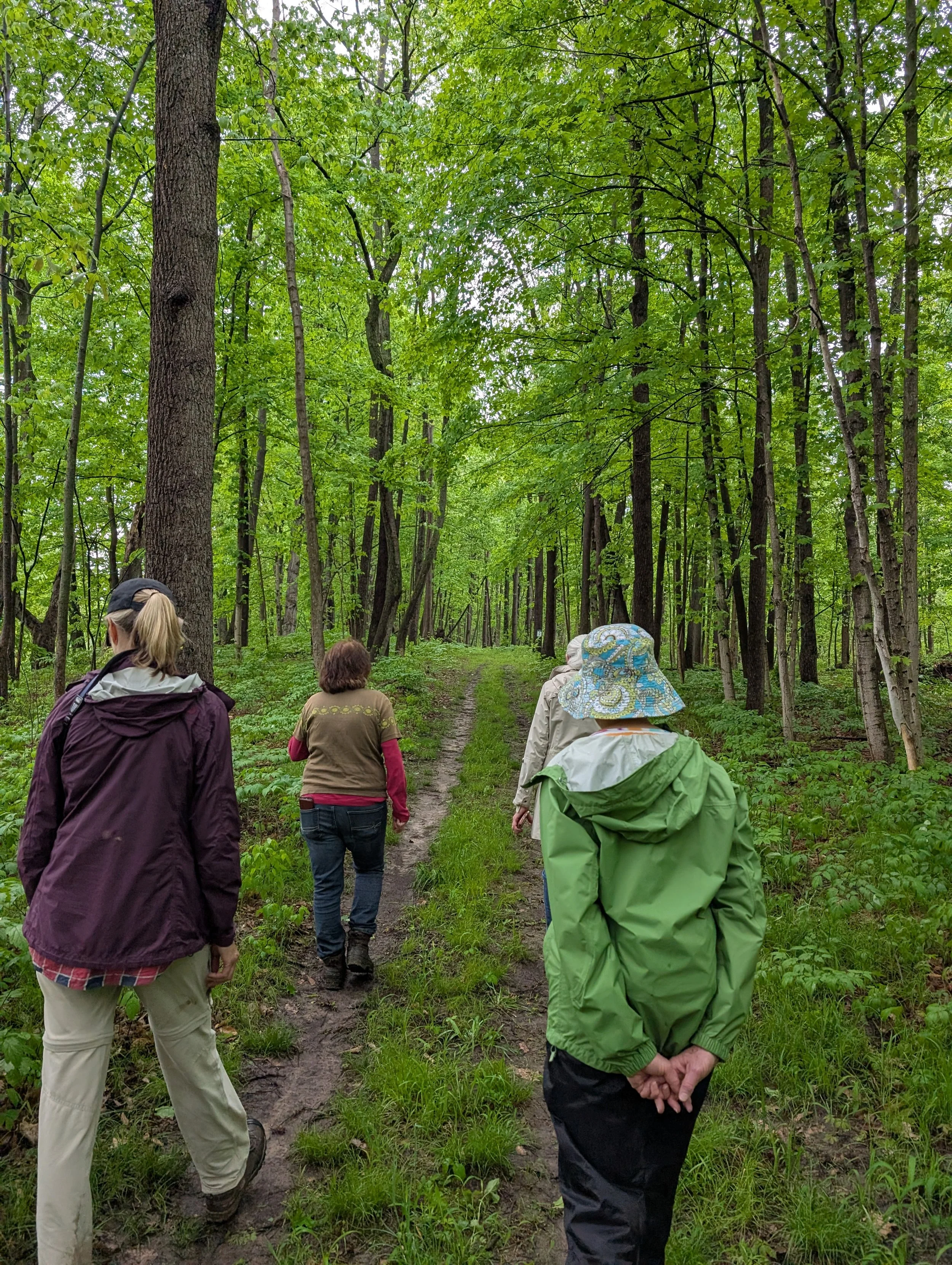 Hundred Acres Nature Park (NY)