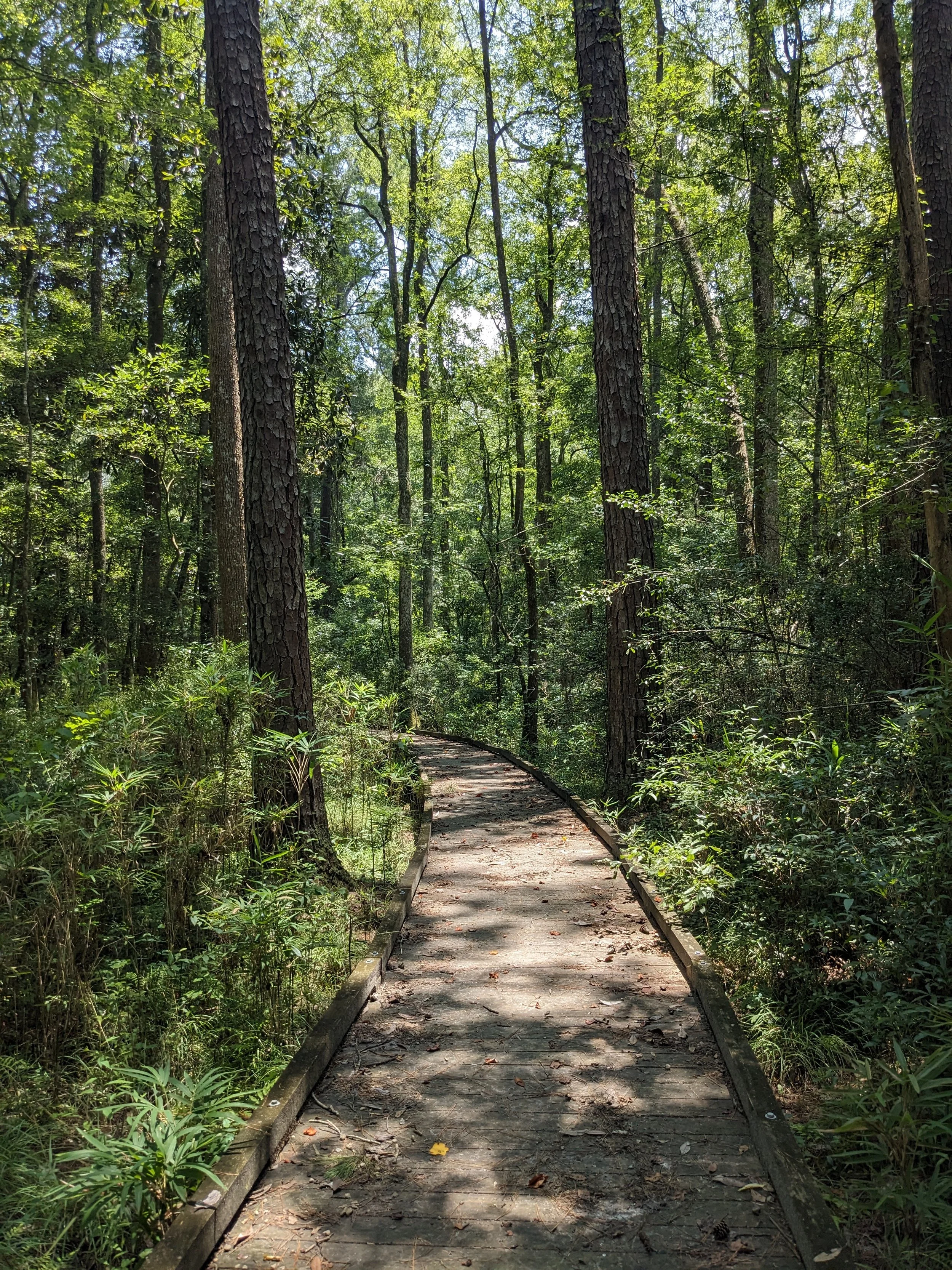 Monticello Ecological Park (FL)
