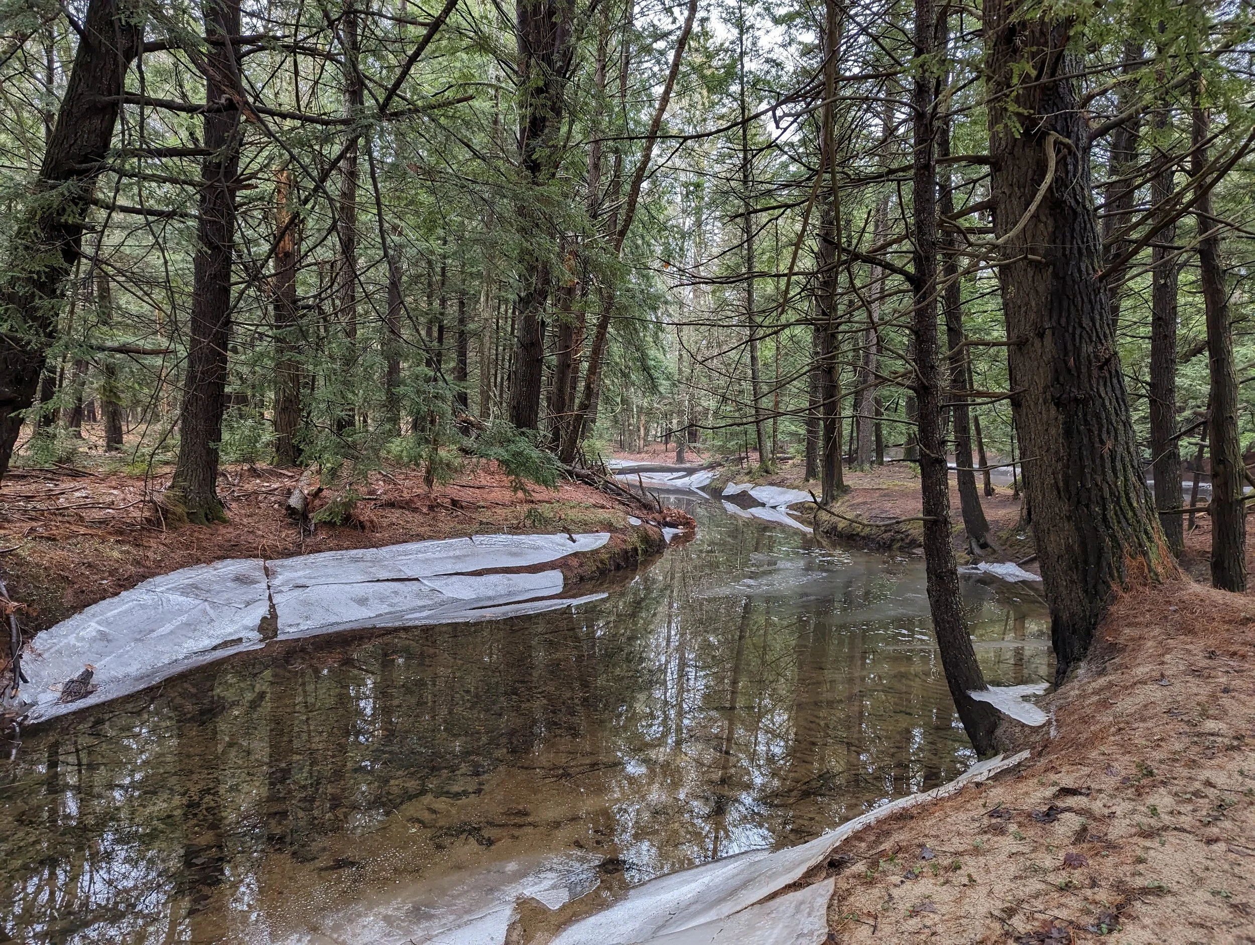 Soucook Sanctuary - Boisvert and Normand Nature Preserve (NH)