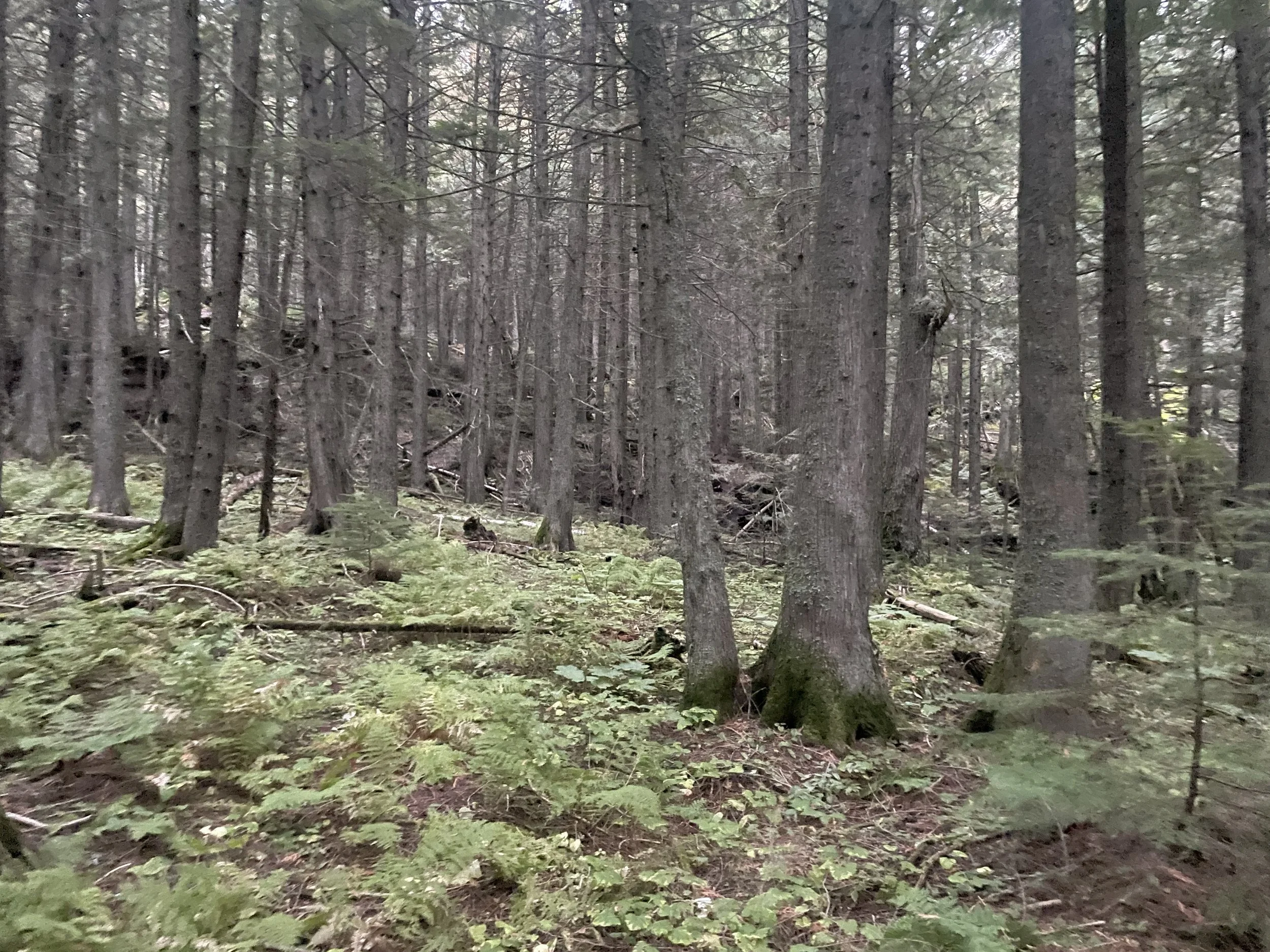 Photo courtesy of Brian Kane