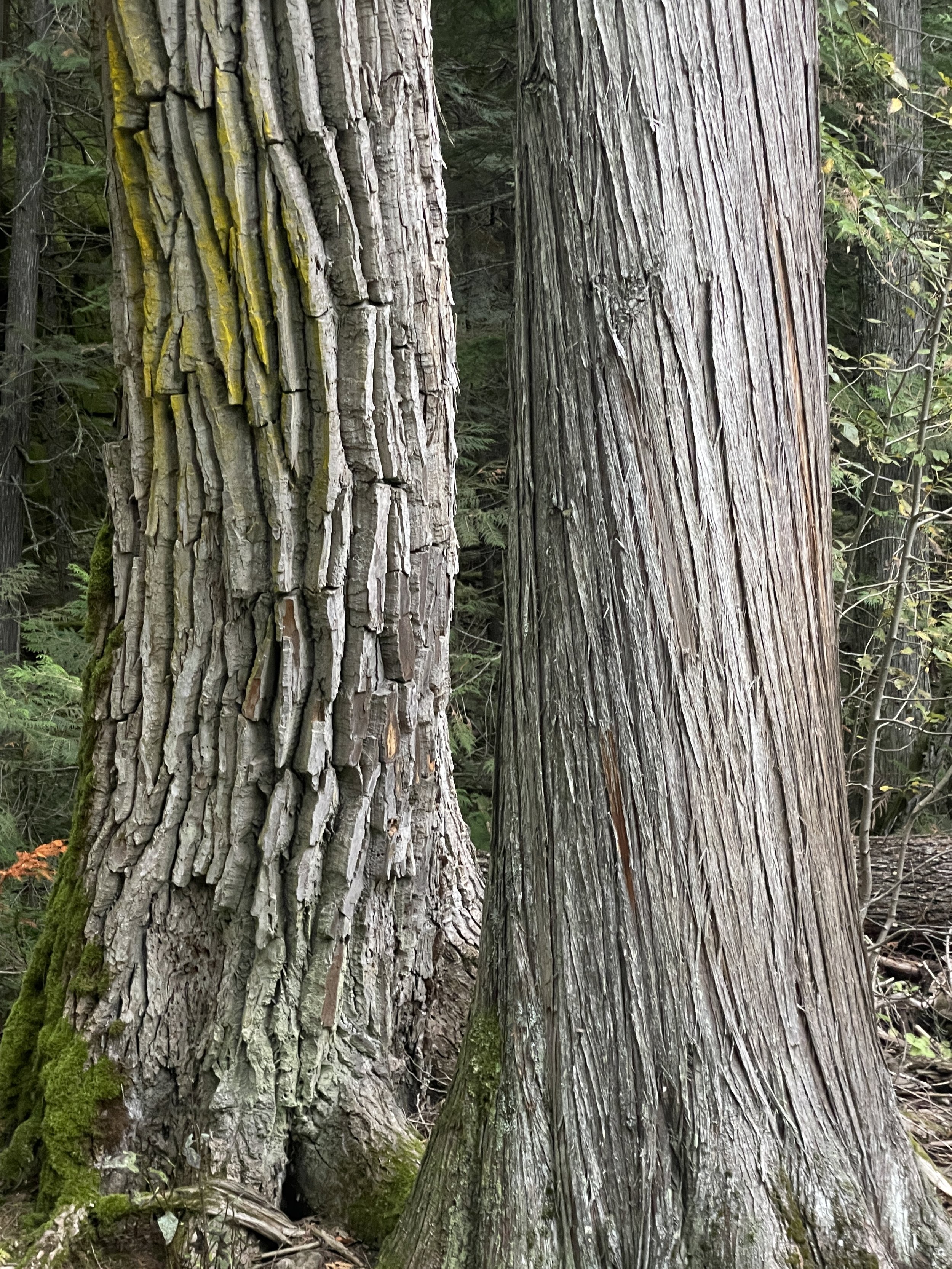 Photo courtesy of Brian Kane