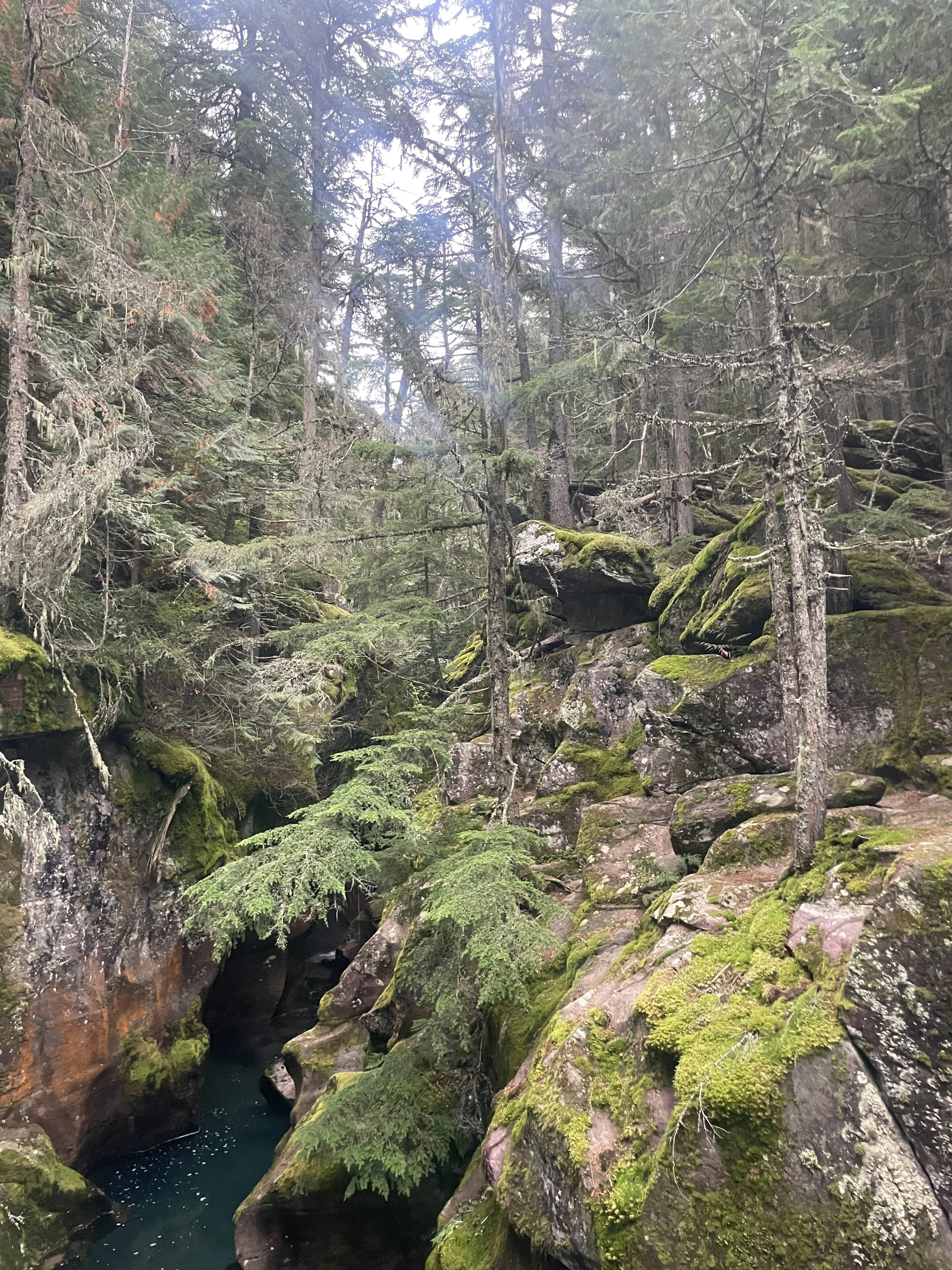 Photo courtesy of Brian Kane