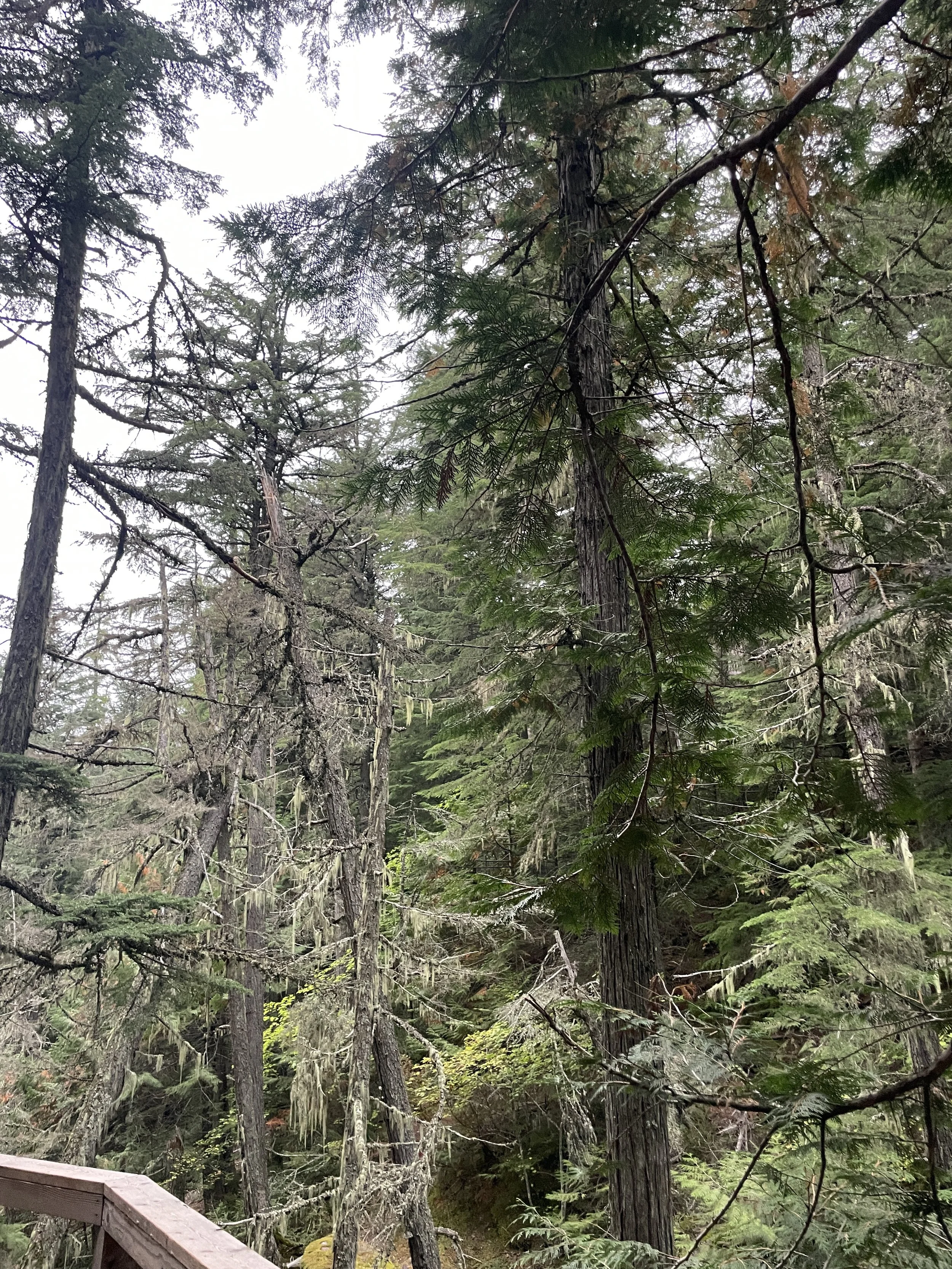 Photo courtesy of Brian Kane