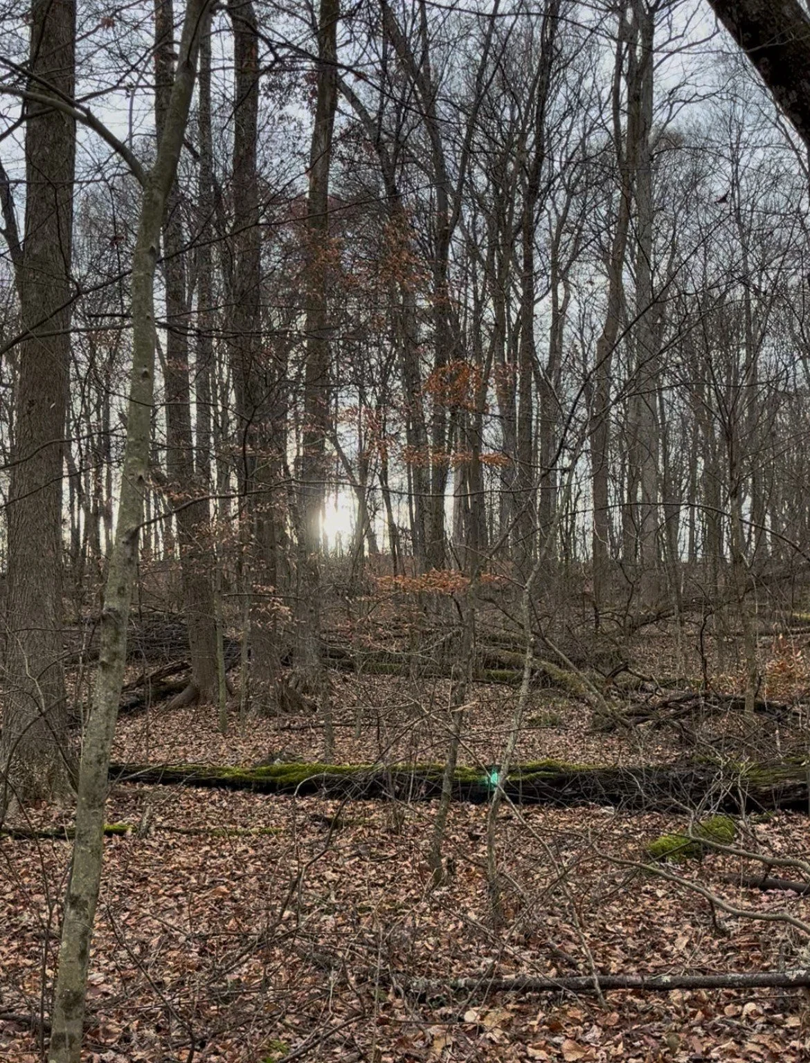 Photo courtesy of Ohio History Connection