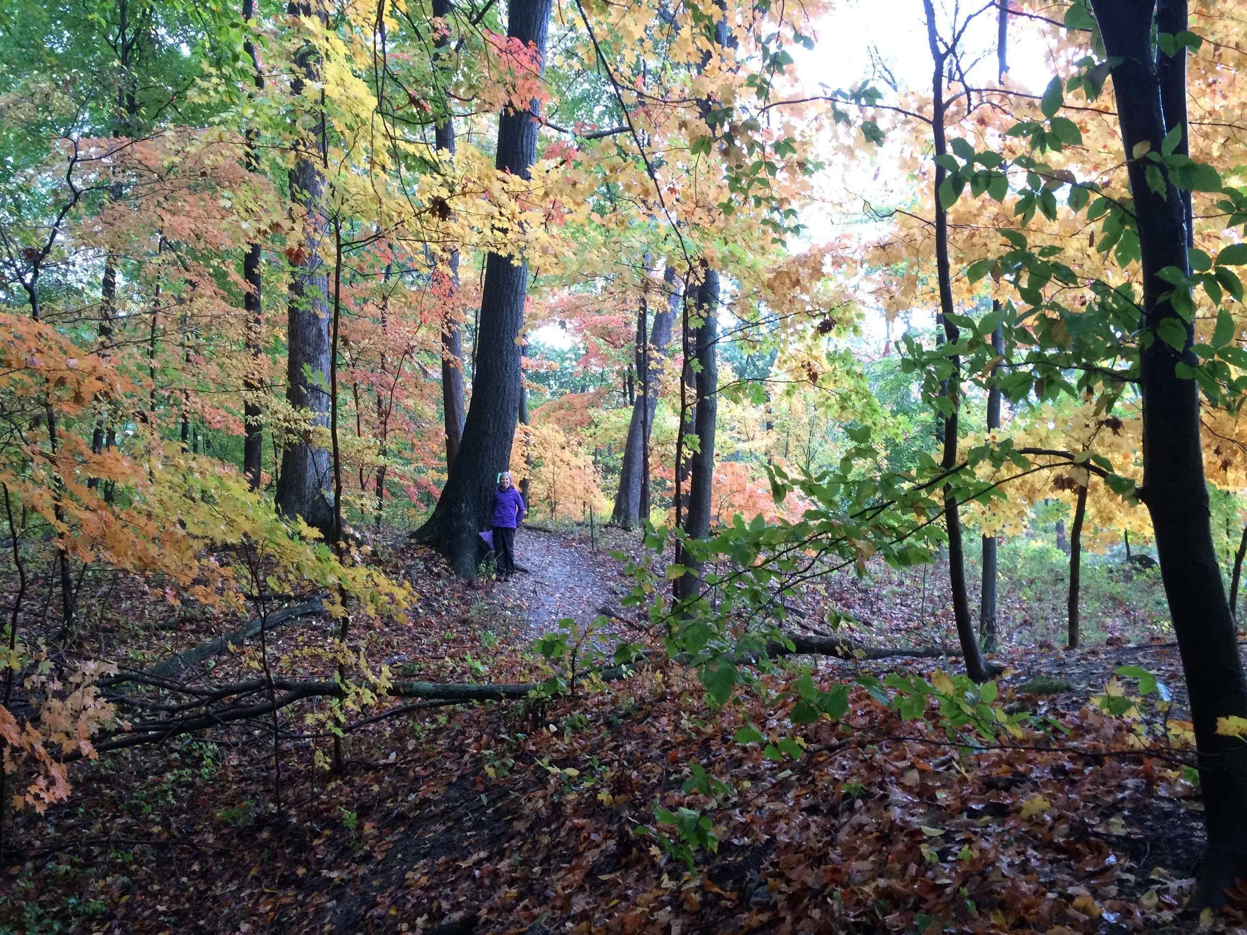 Joan in Flint Ridge forest.JPG