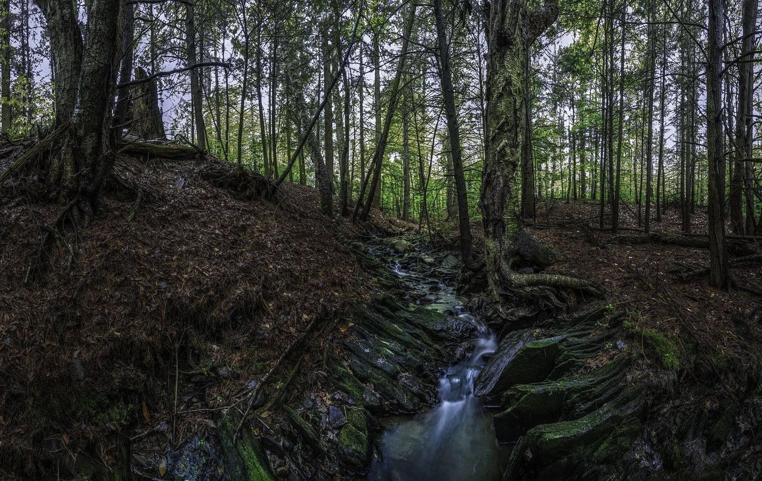 Photo: Robert Llewellyn