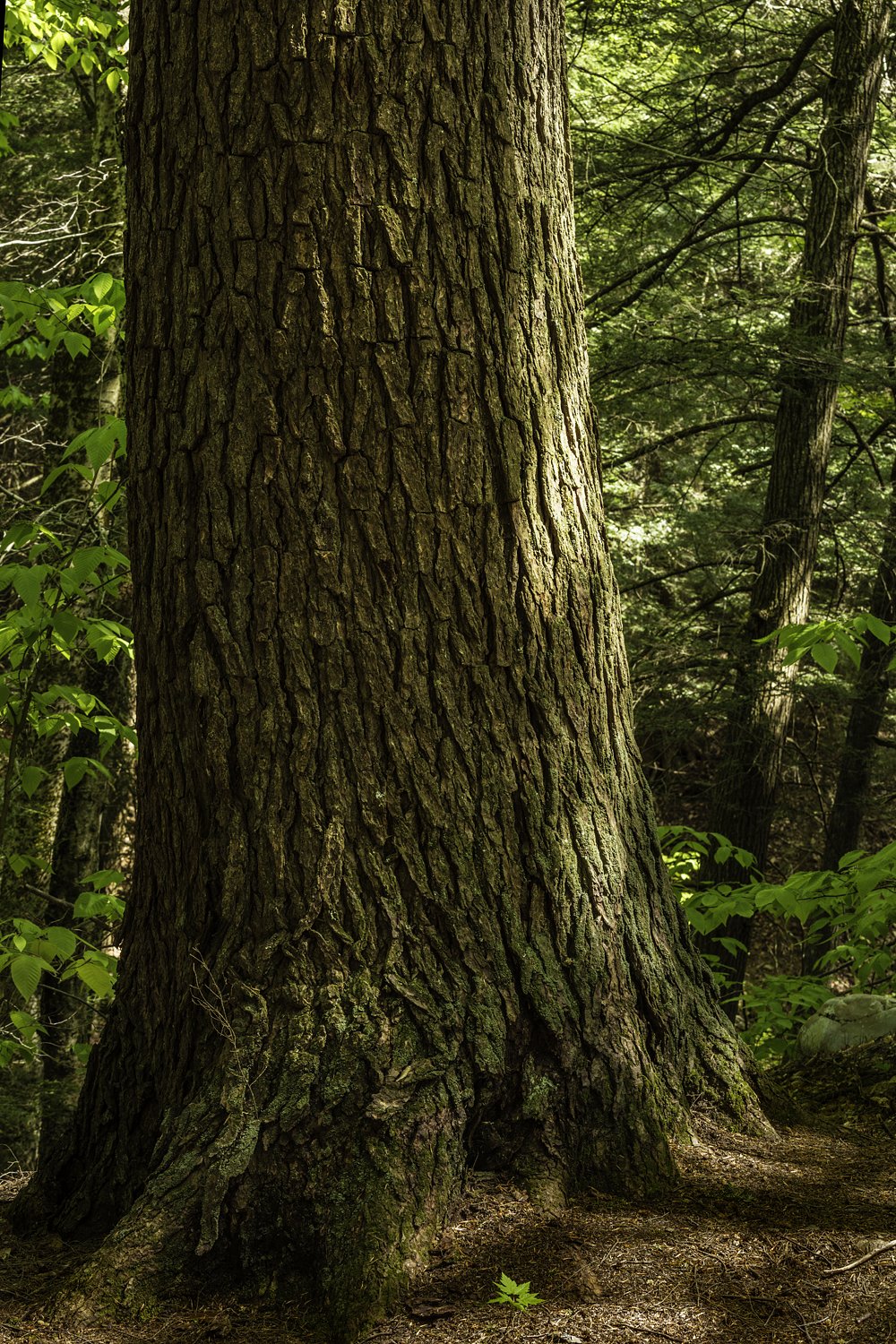 Photo: Robert Llewellyn