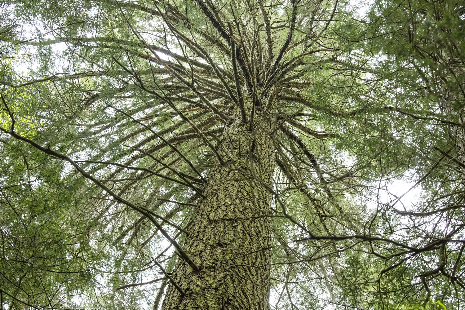 Photo: Robert Llewellyn