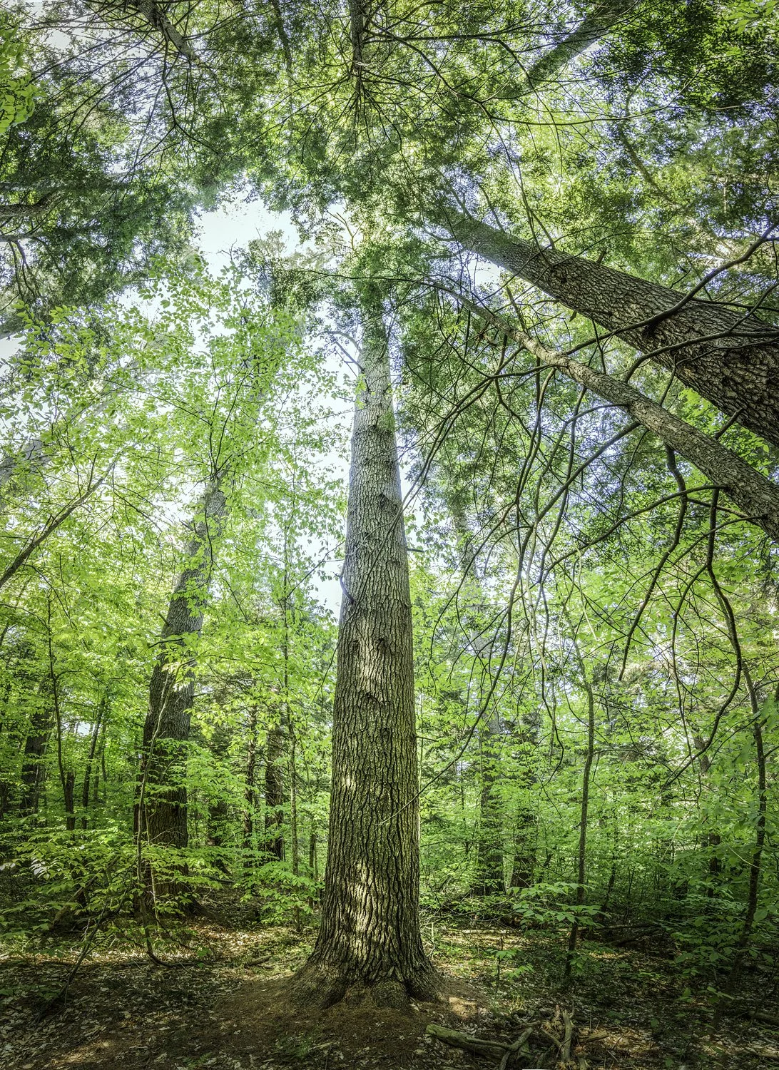 Photo: Robert Llewellyn