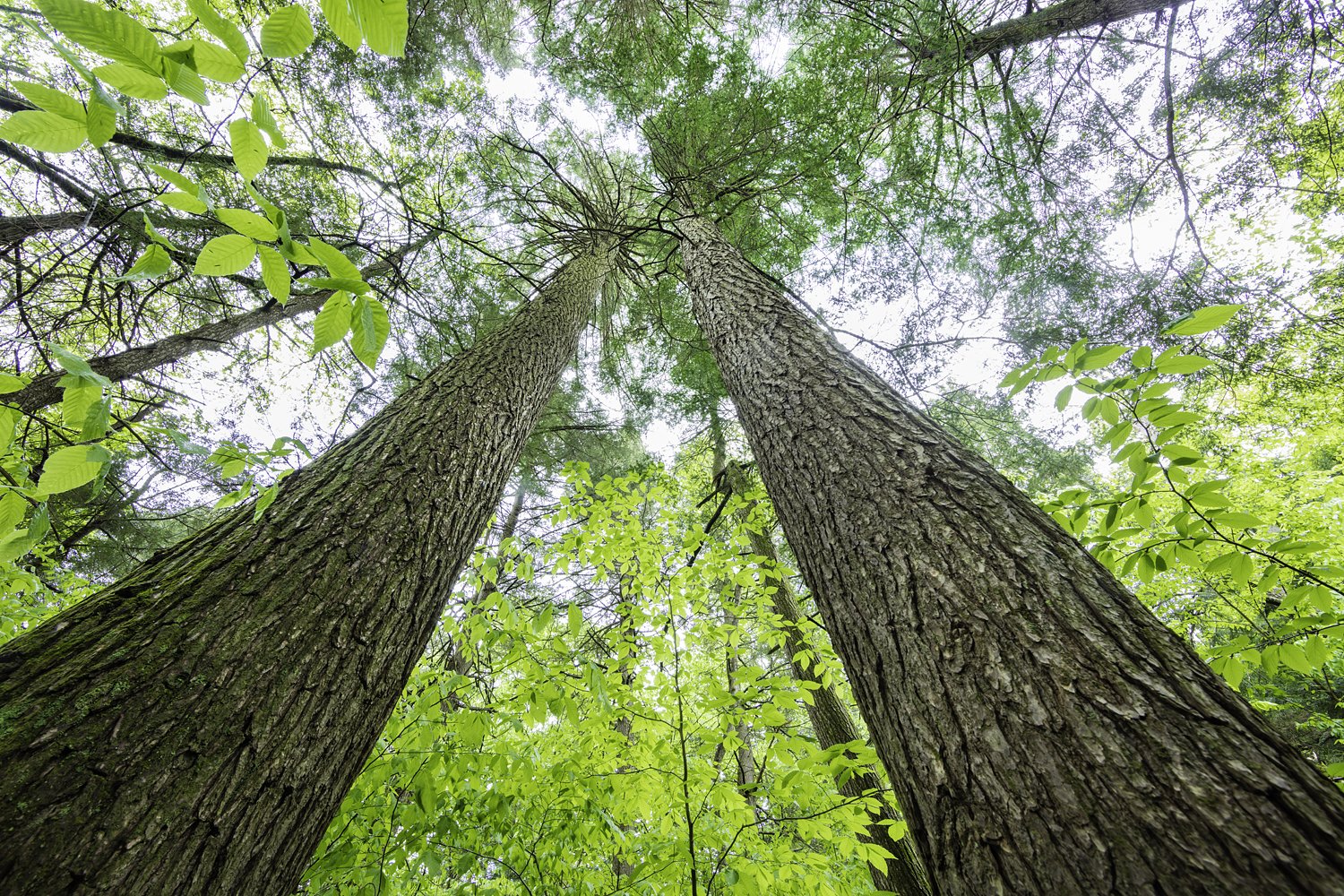 Photo: Robert Llewellyn