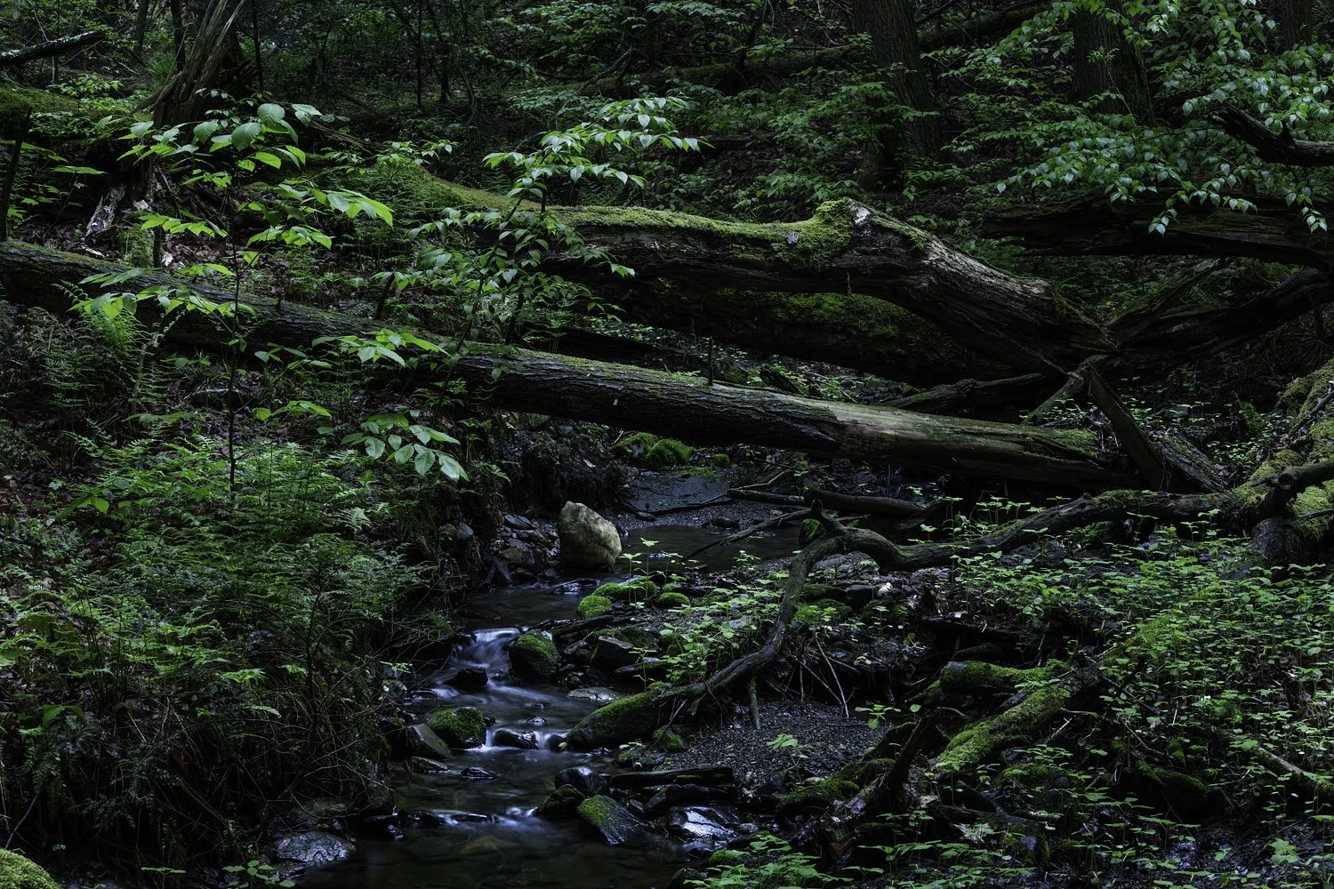 Photo: Robert Llewellyn