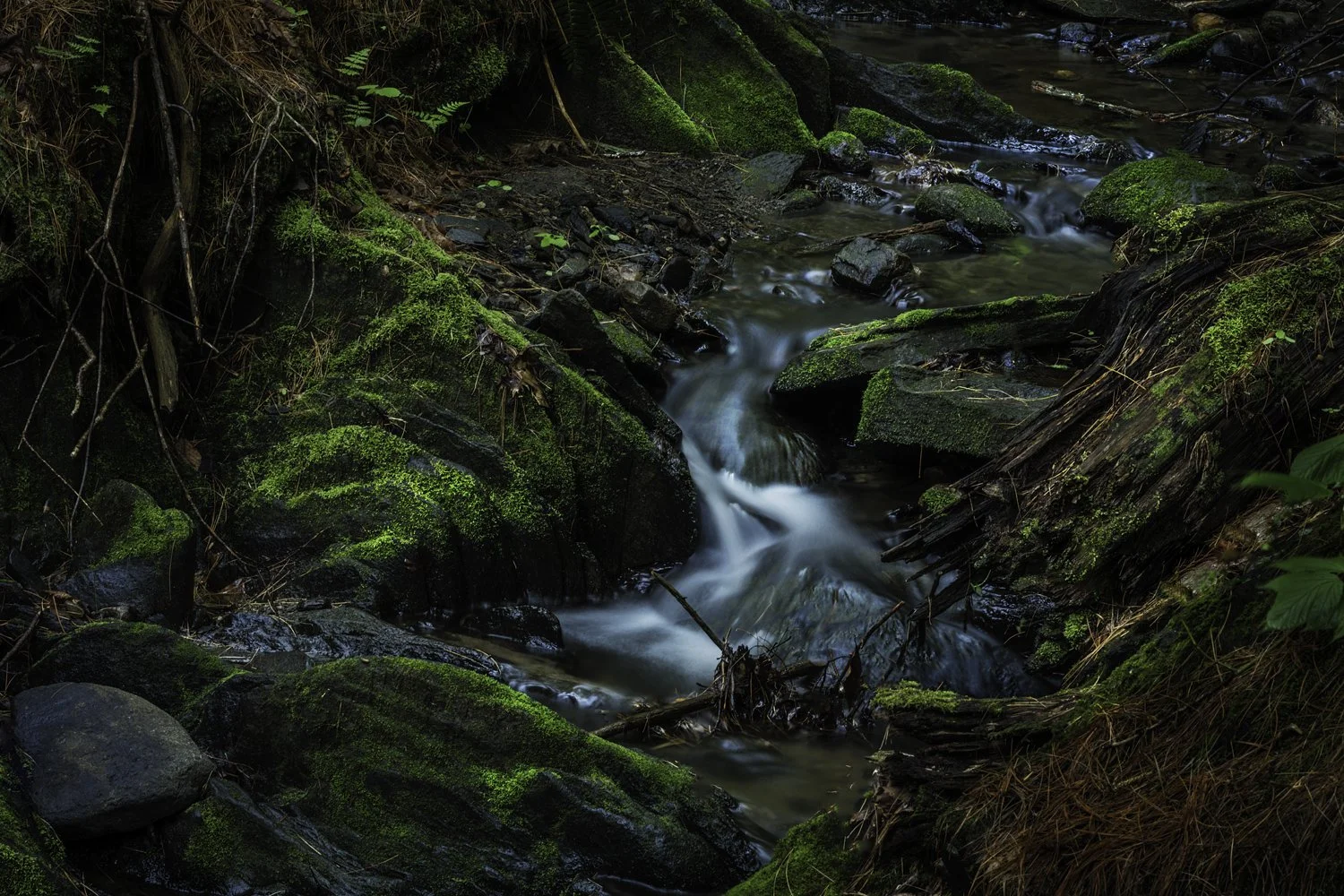 Photo: Robert Llewellyn