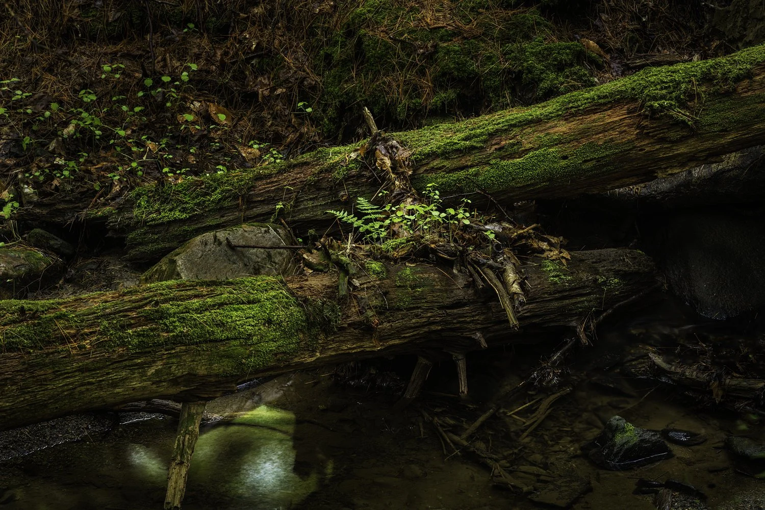 Photo: Robert Llewellyn