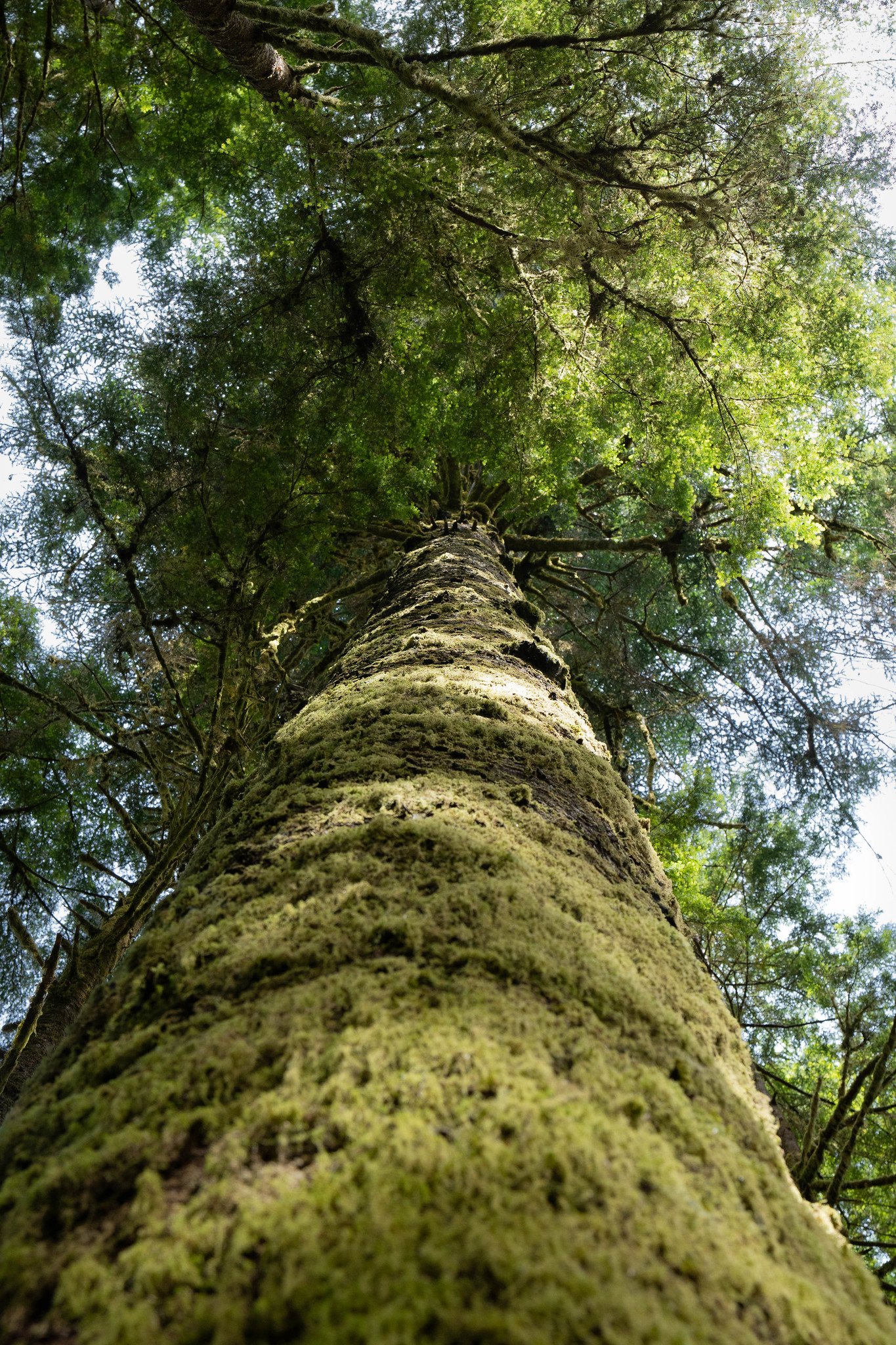 Photo courtesy of Mercator Films