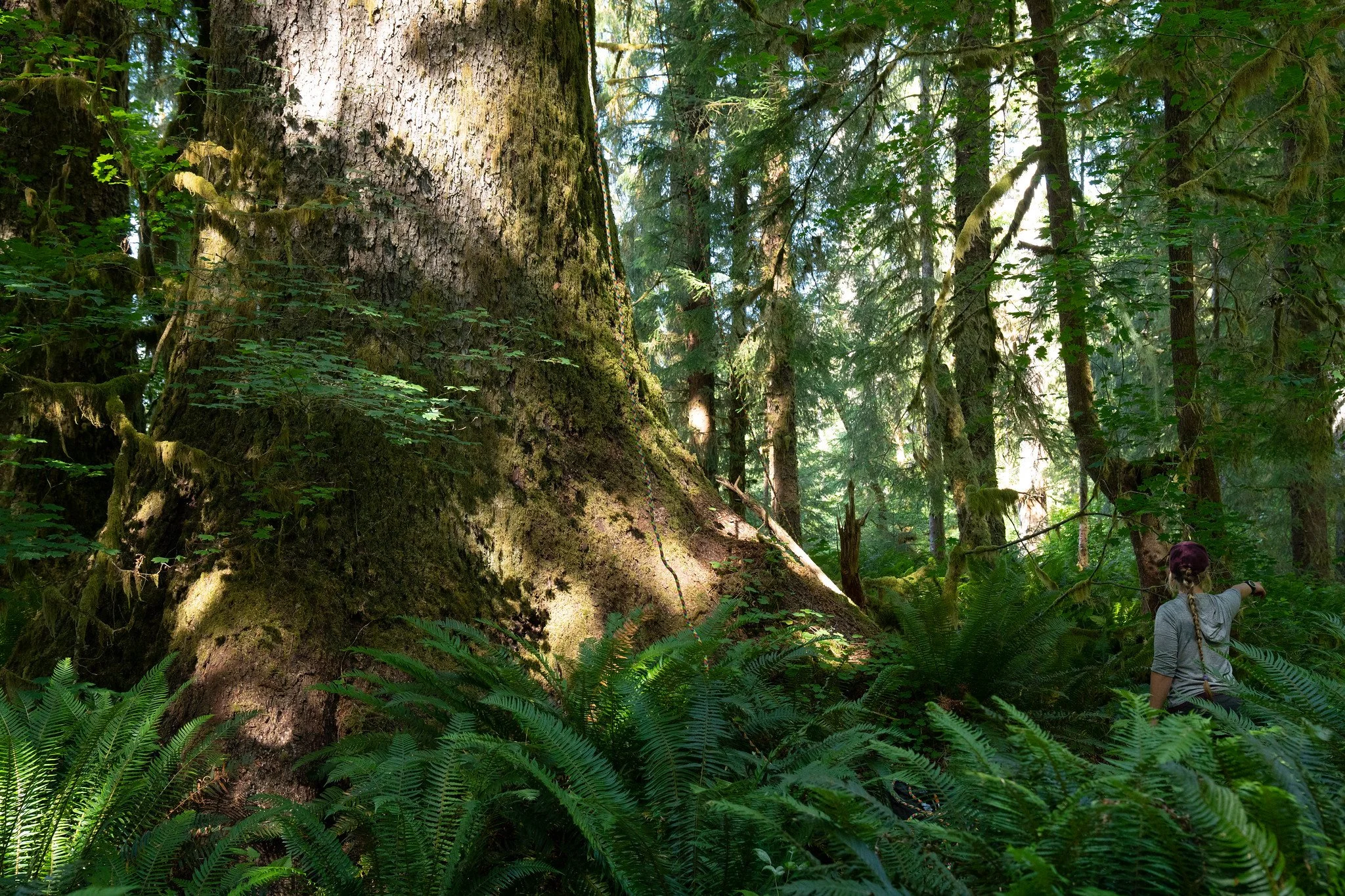 Photo courtesy of Mercator Films