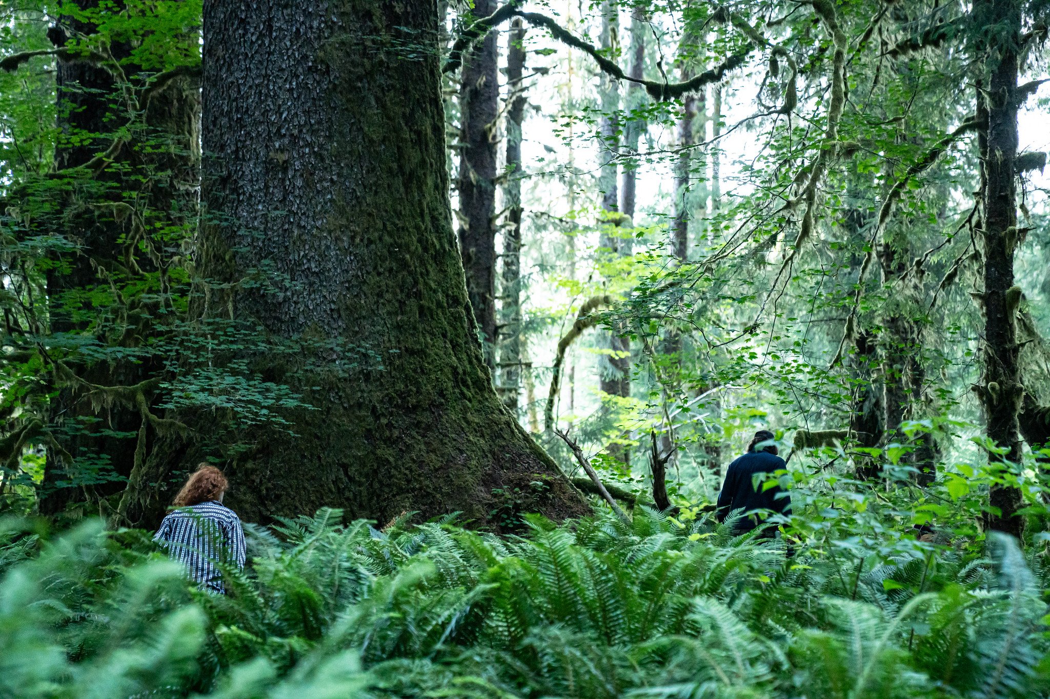 Photo courtesy of Mercator Films