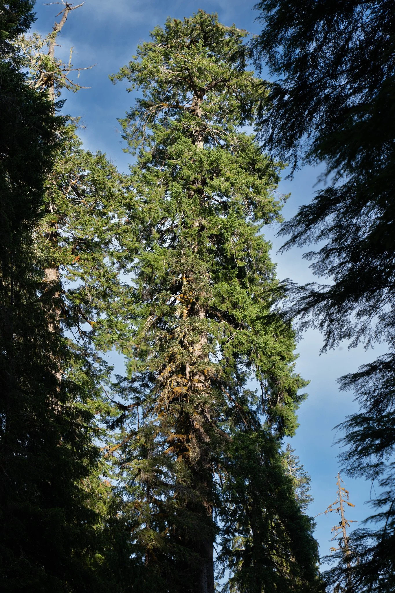 Photo courtesy of Mercator Films