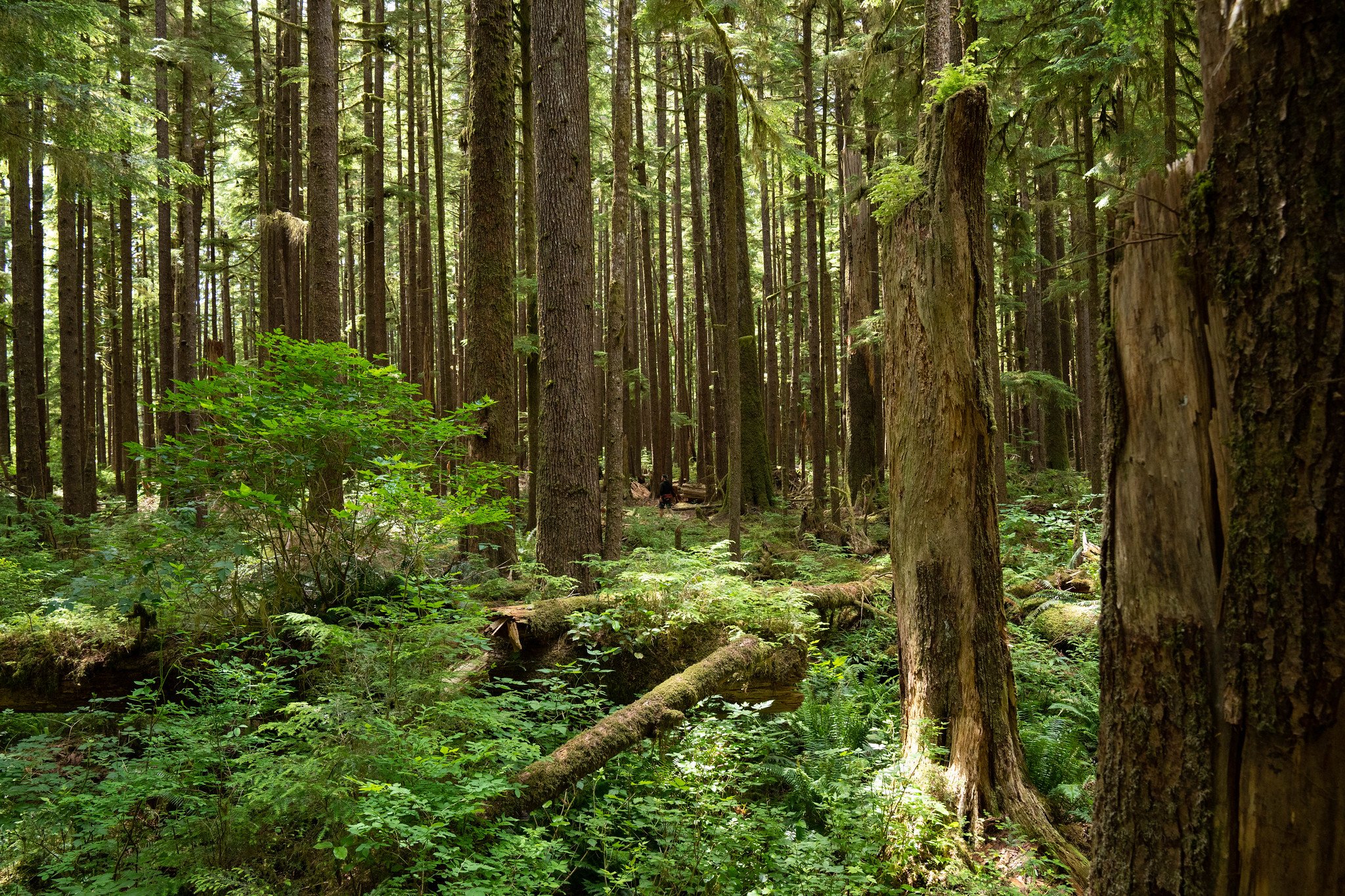 Photo courtesy of Mercator Films