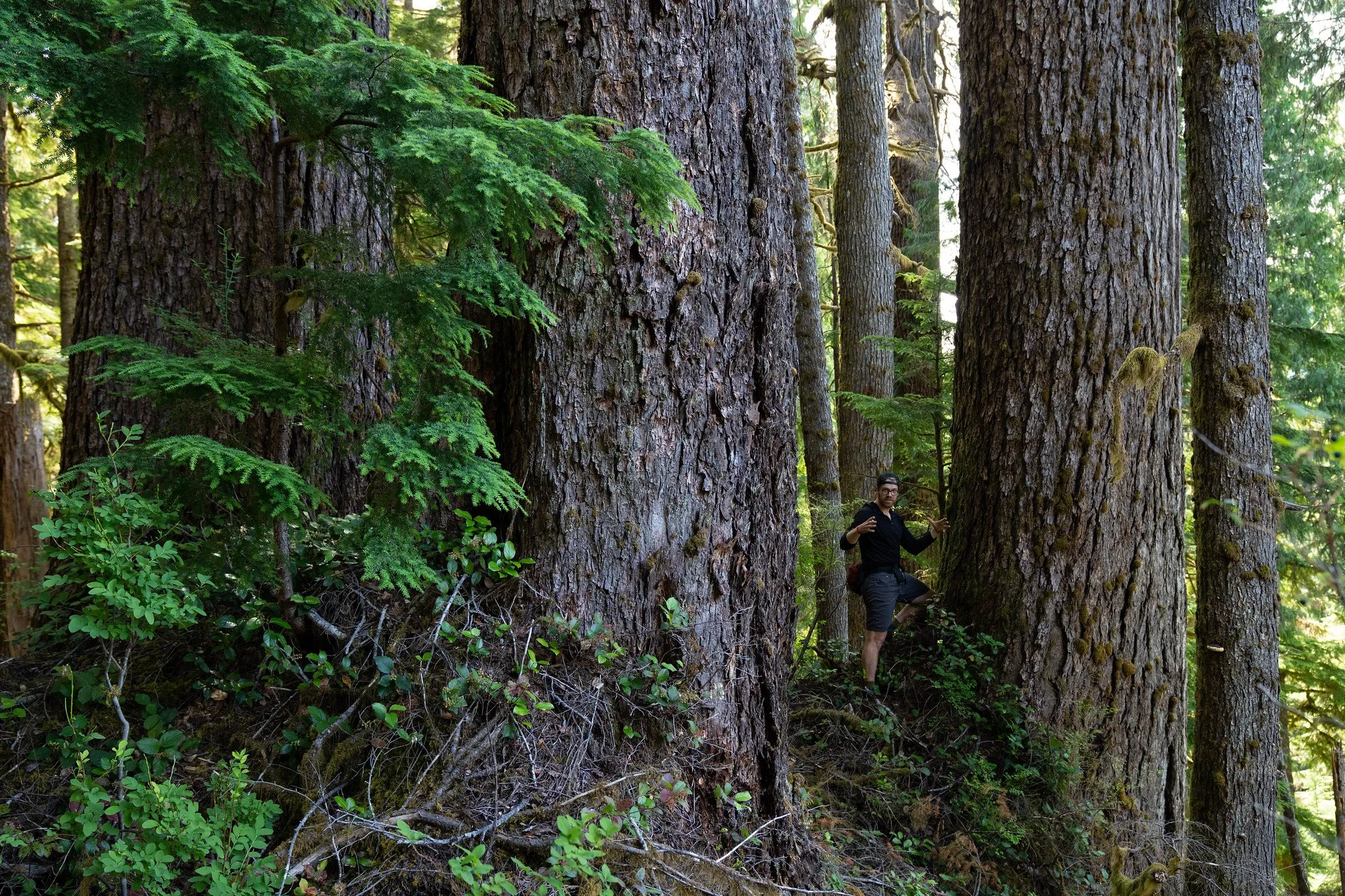 Photo courtesy of Mercator Films