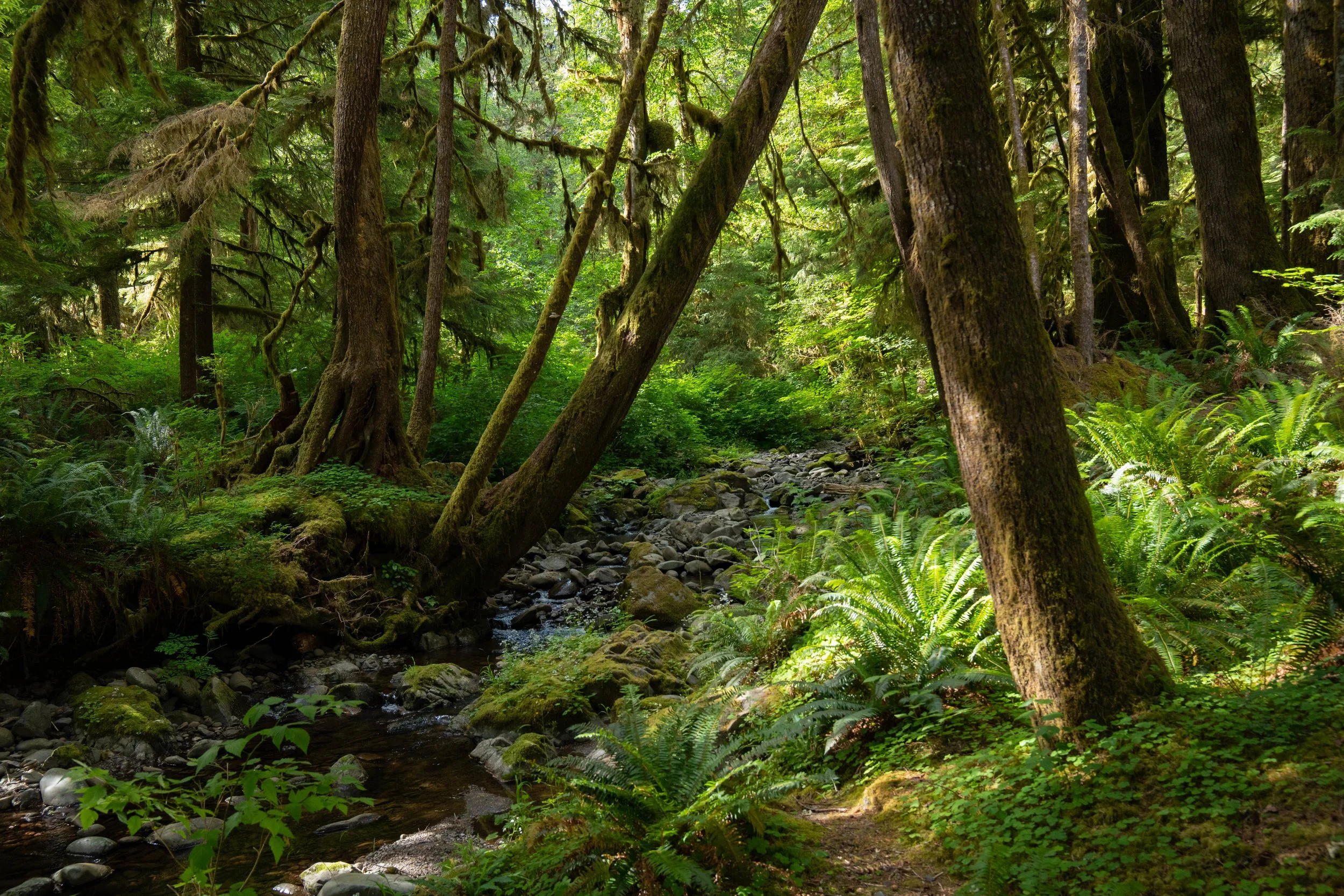 Photo courtesy of Mercator Films