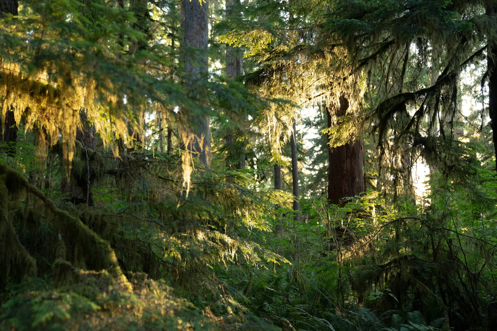 Photo courtesy of Mercator Films