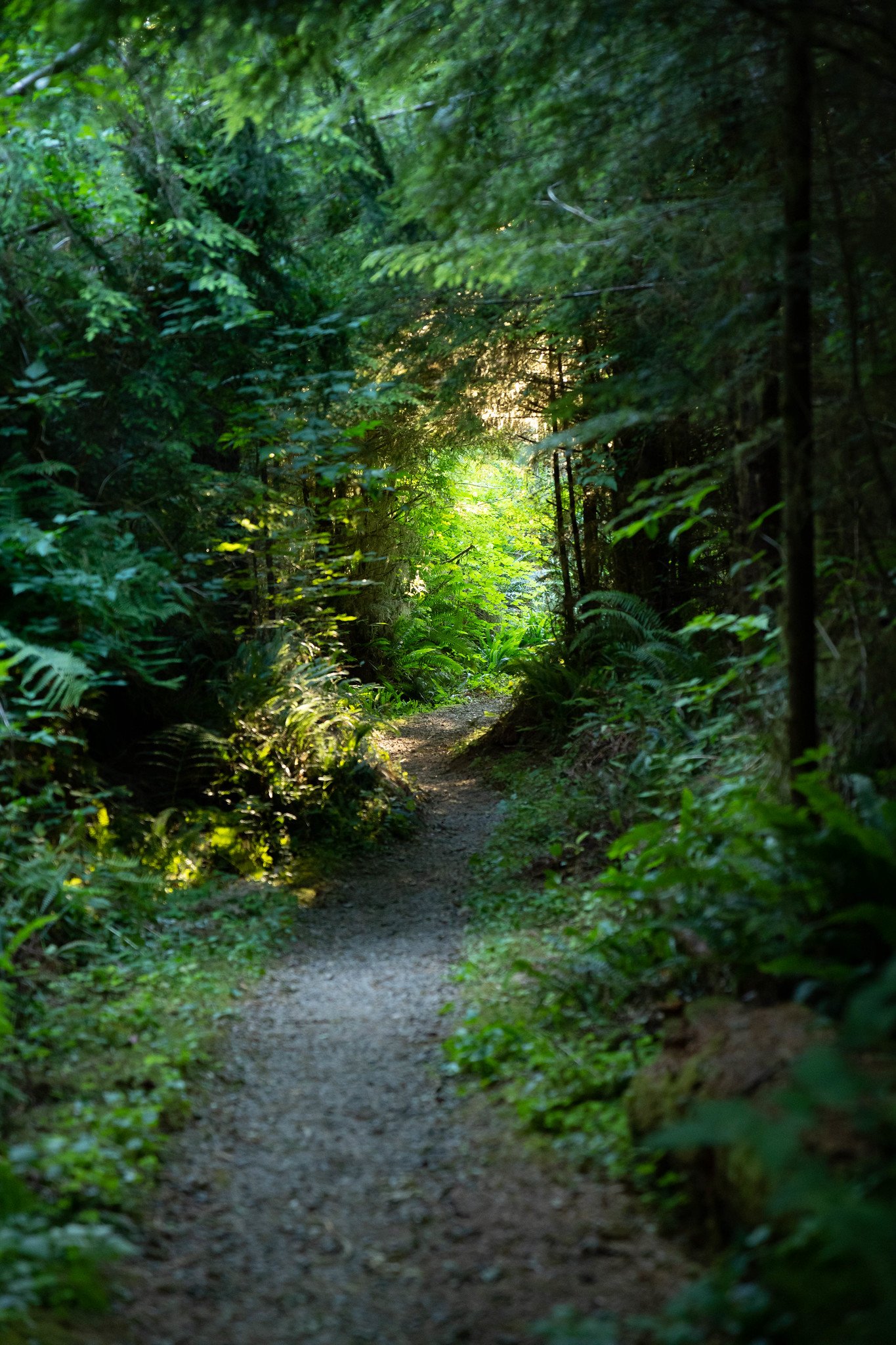 Photo courtesy of Mercator Films