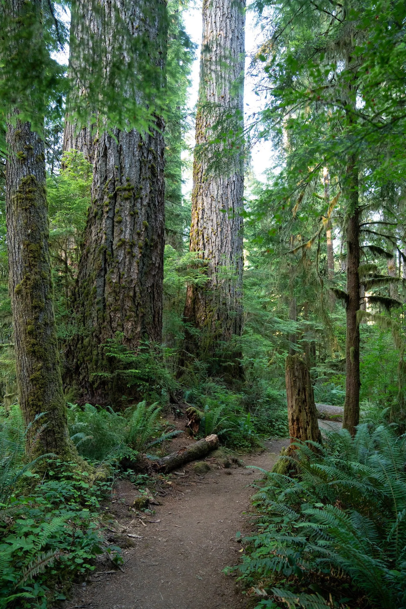 Photo courtesy of Mercator Films