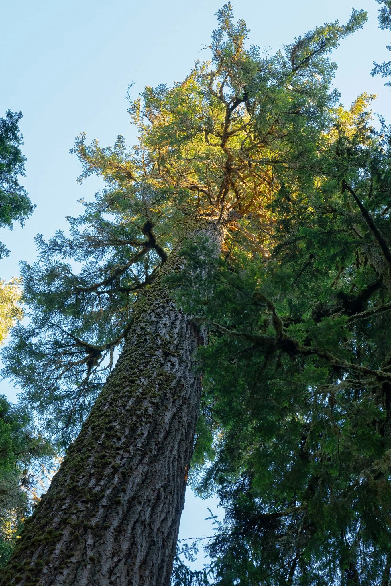 Photo courtesy of Mercator Films