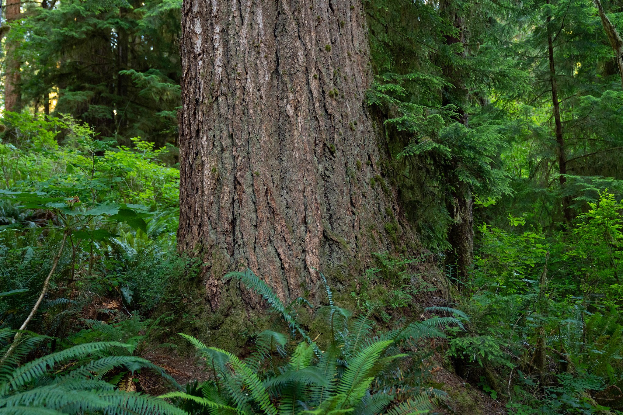 Photo courtesy of Mercator Films