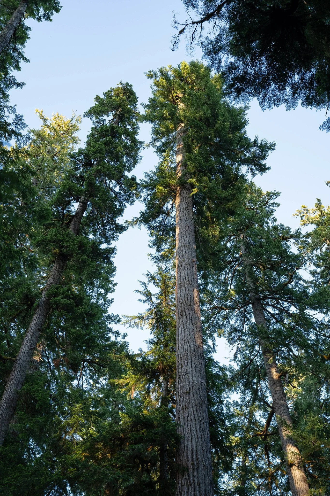 Photo courtesy of Mercator Films