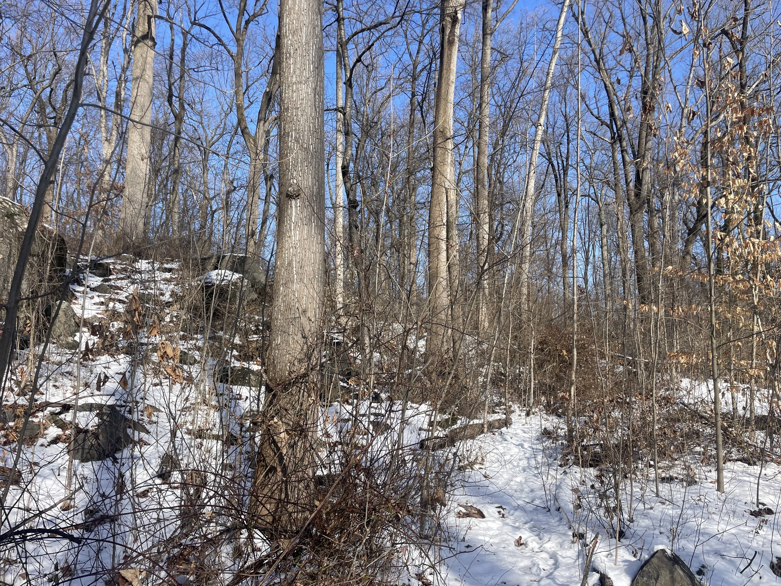 Photo courtesy of Brian Kane