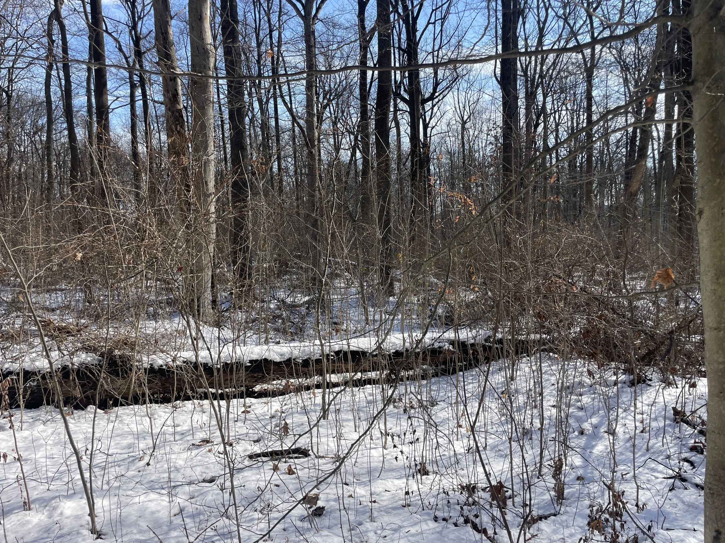 Photo courtesy of Brian Kane