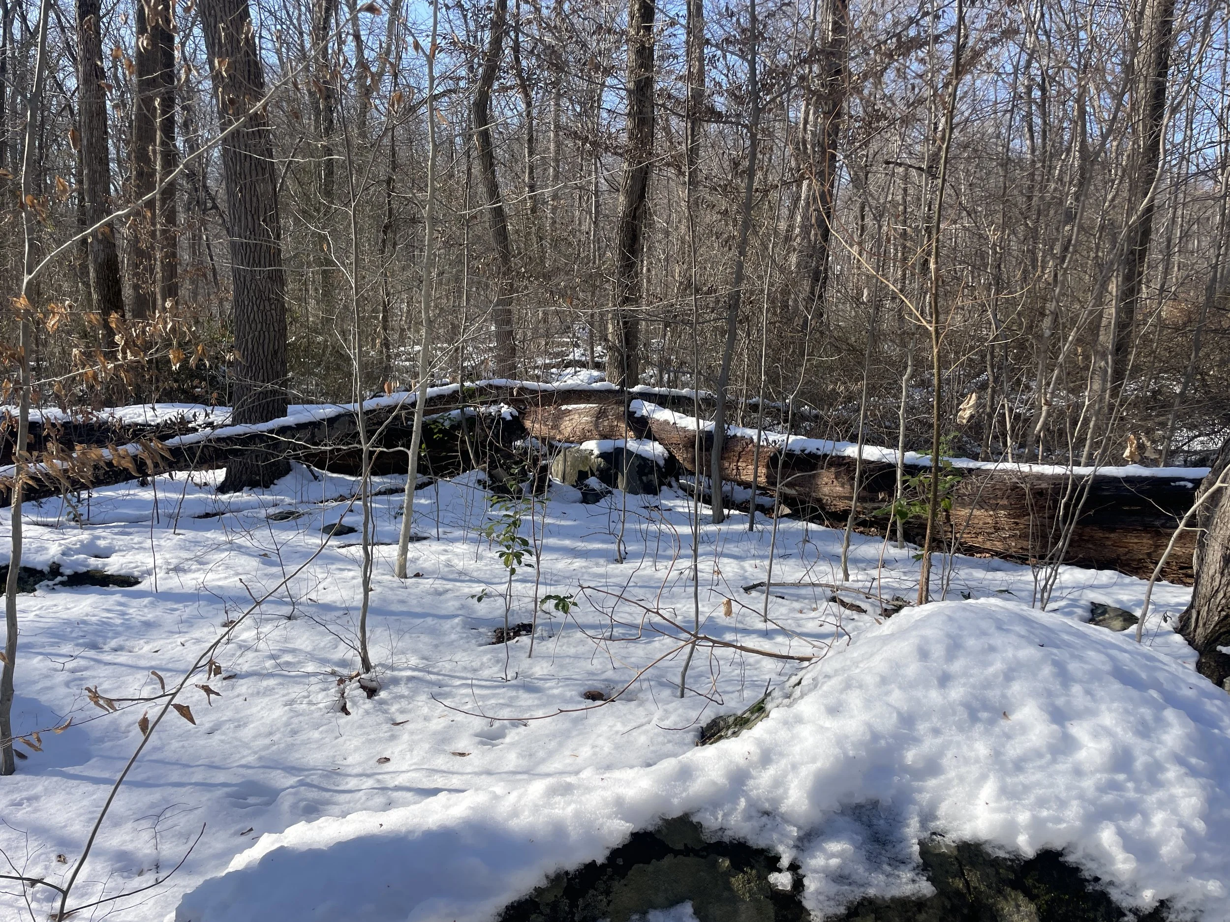 Photo courtesy of Brian Kane