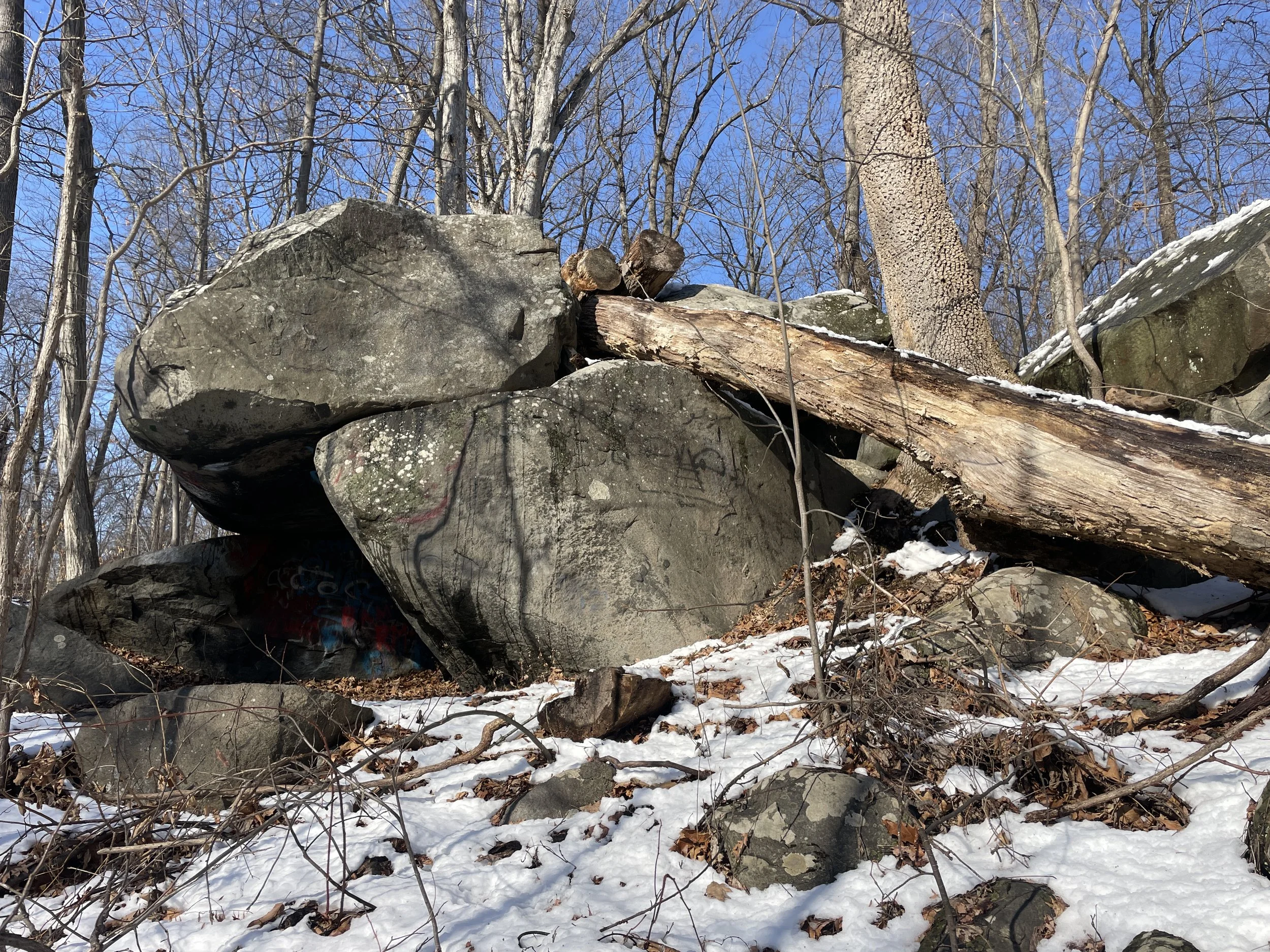 Photo courtesy of Brian Kane