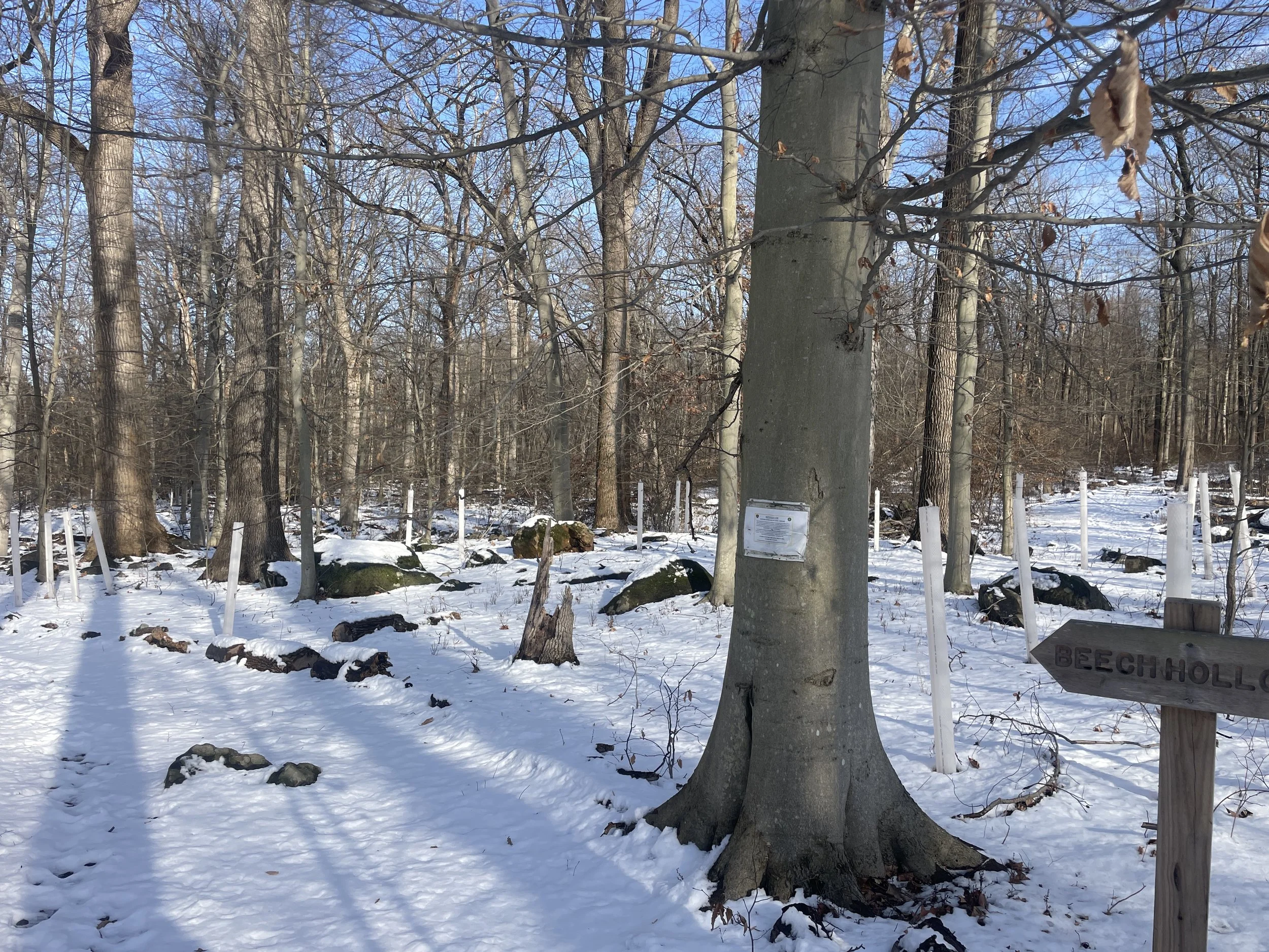 Photo courtesy of Brian Kane