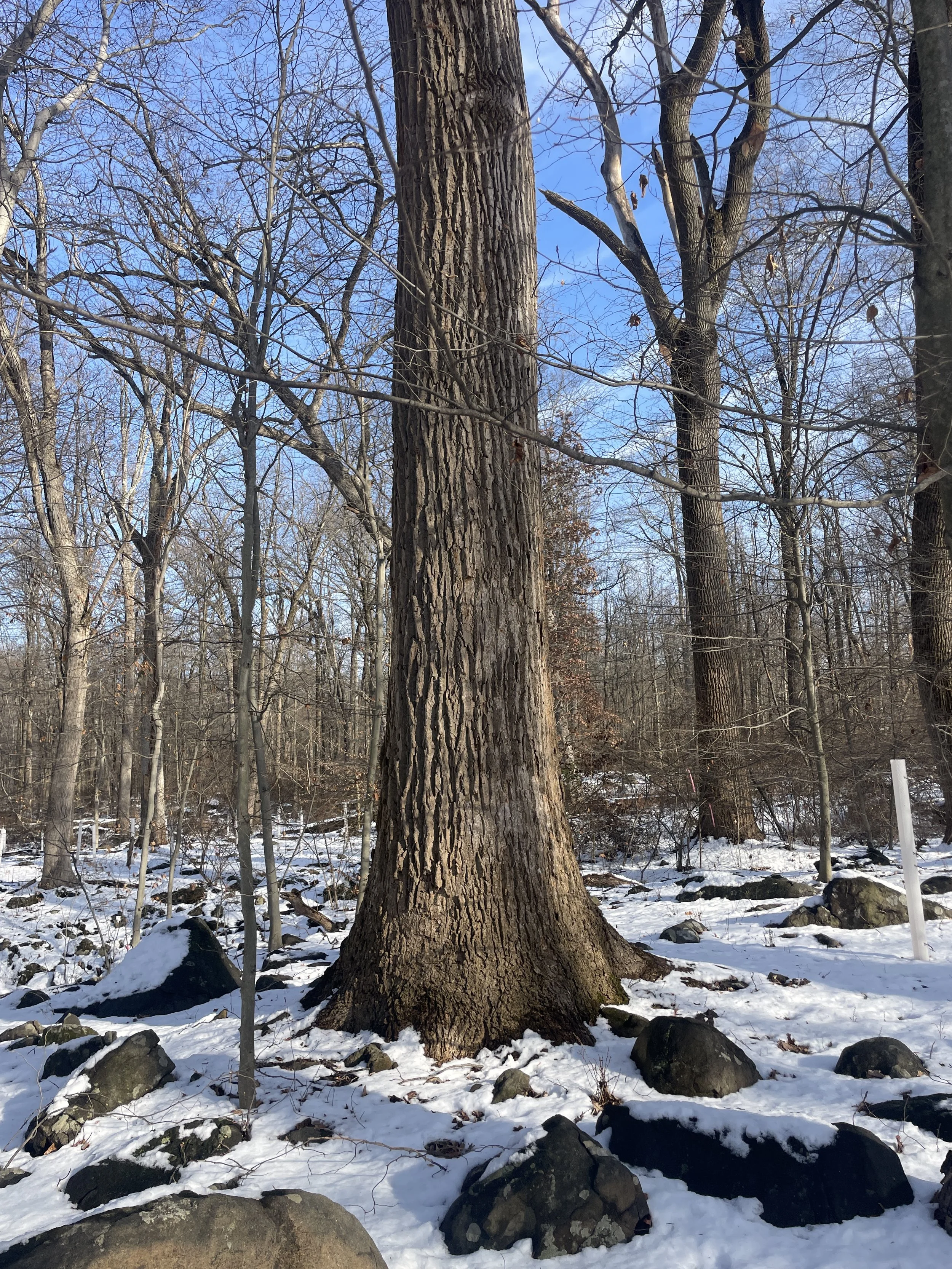 Photo courtesy of Brian Kane