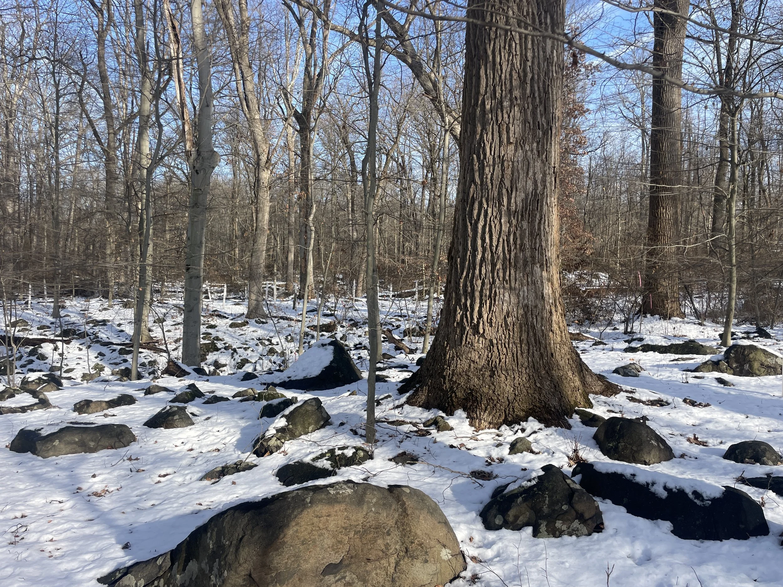 Photo courtesy of Brian Kane